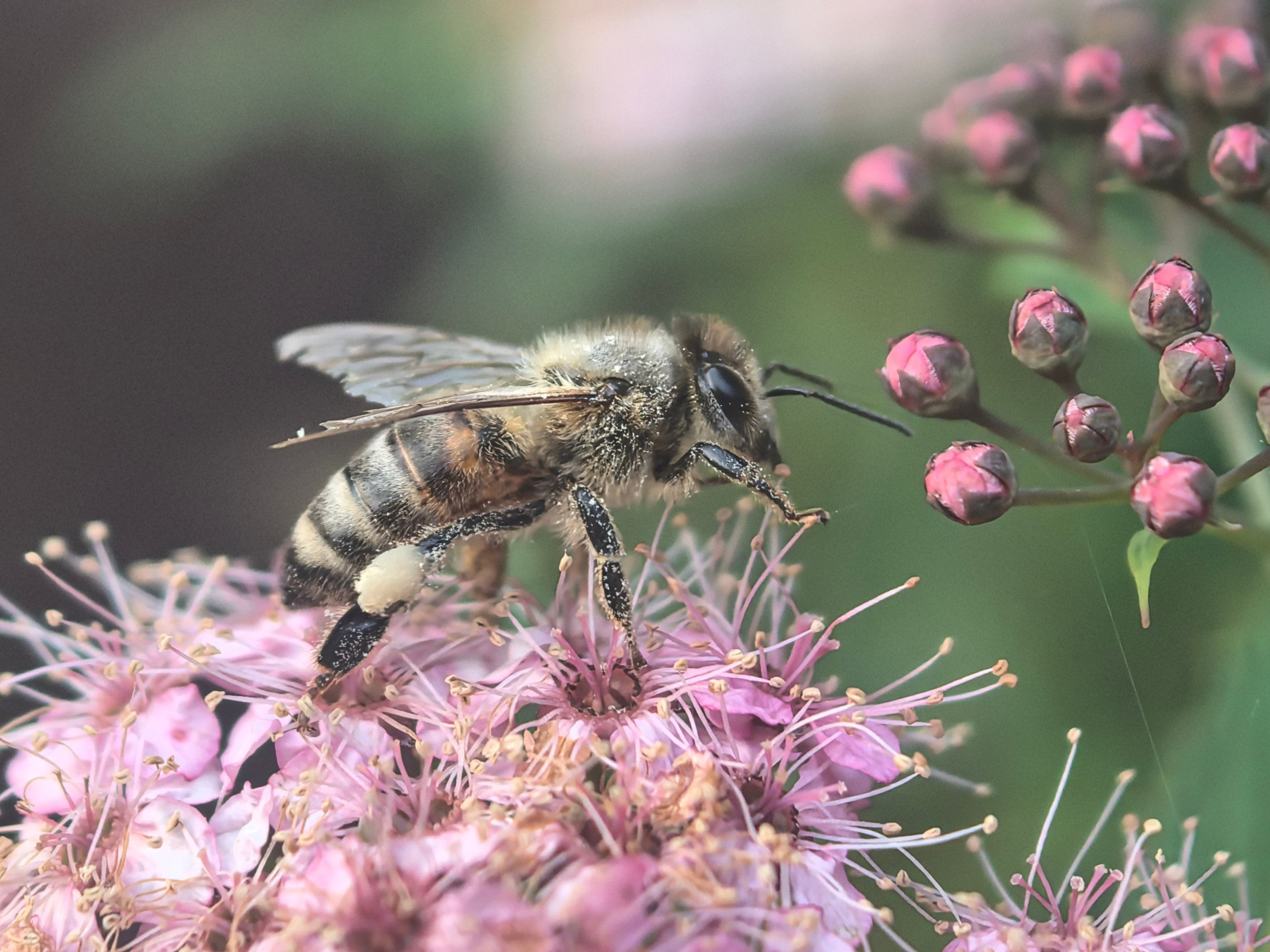 ПочтиМАКРО. Школьные выпускные альбомы в Москве Марина Николаева