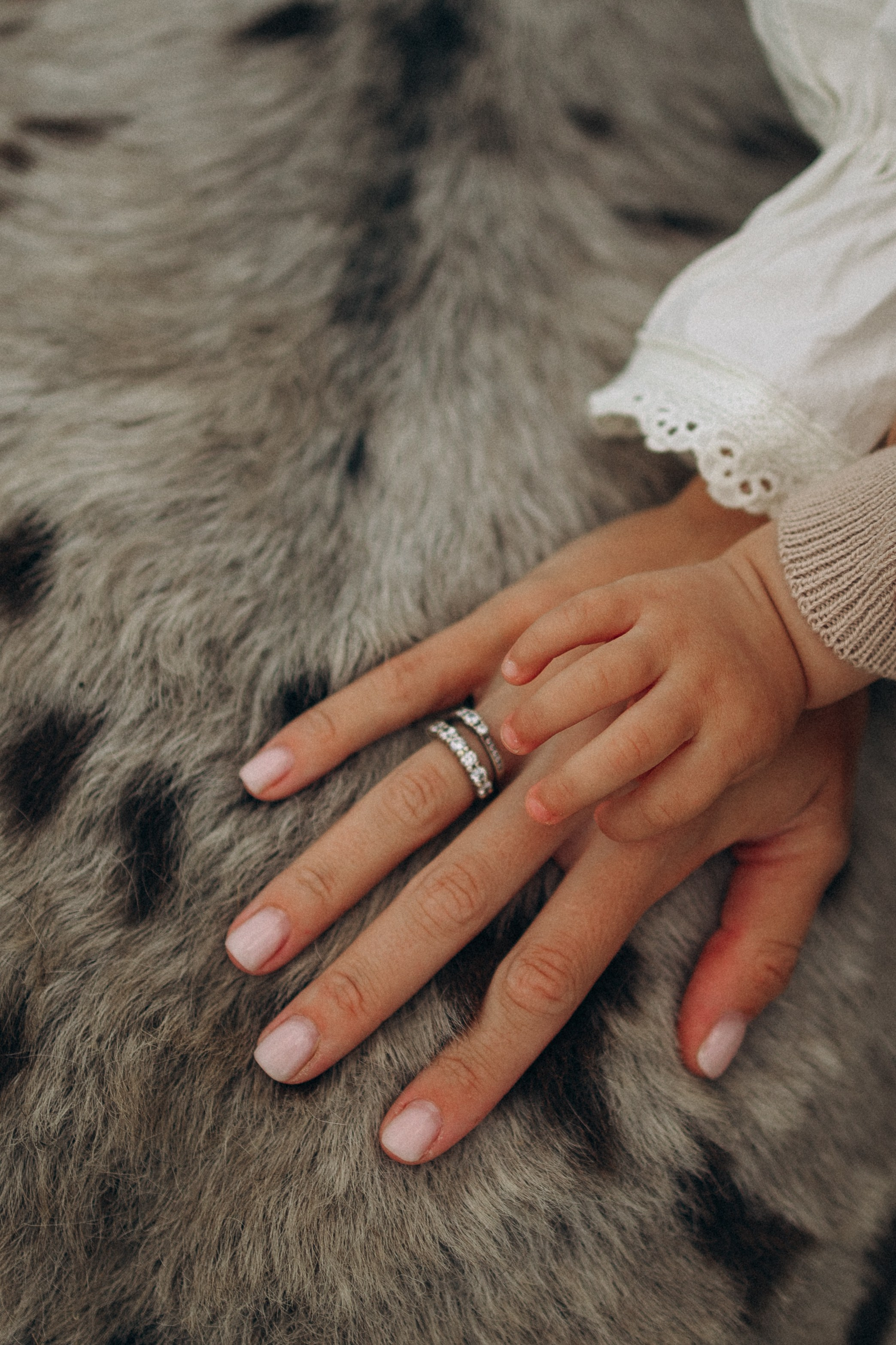 Семейная. Фотораф — анималист Мария Шистка