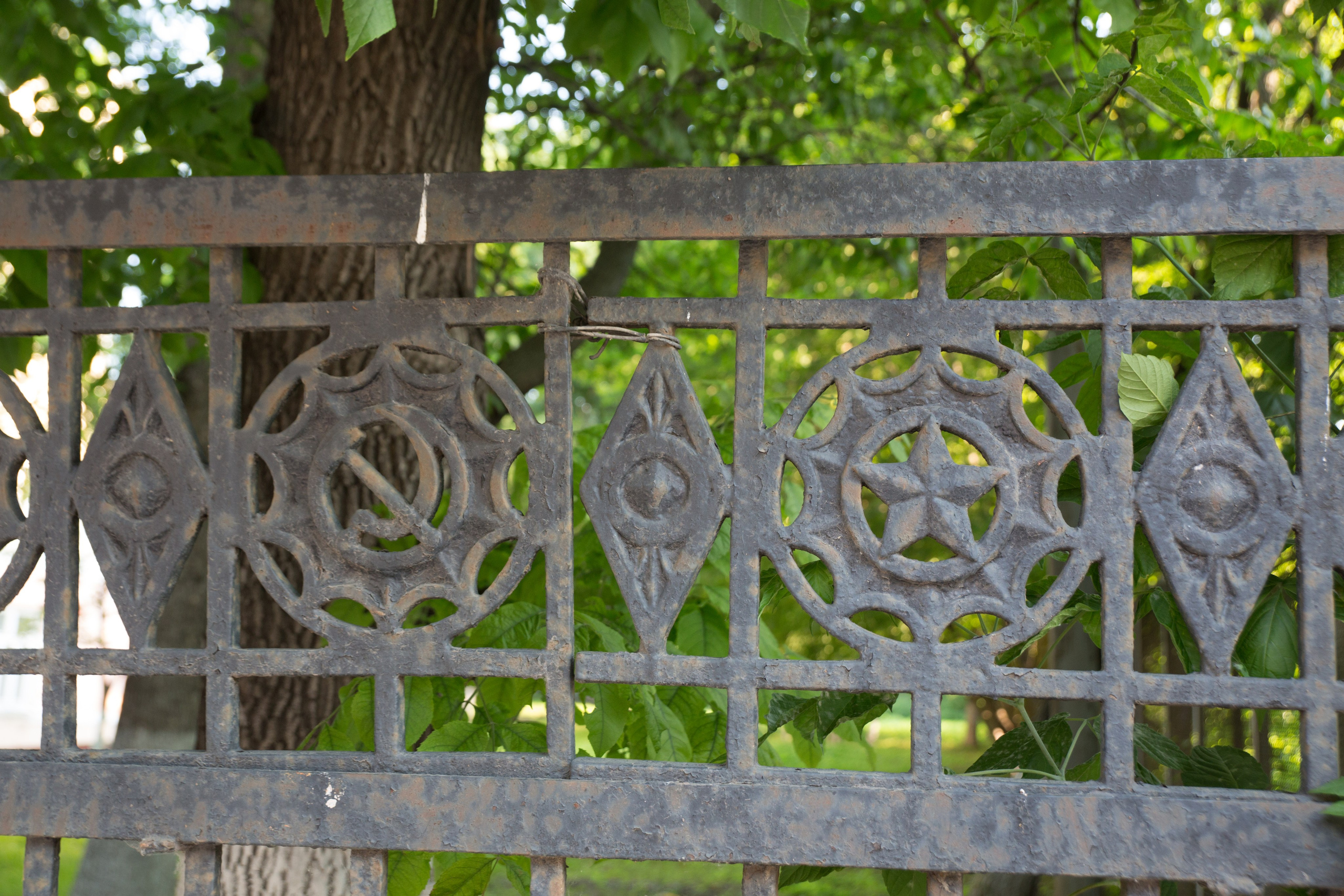 Г. Ярославль. Студия Максима Белослюдцева