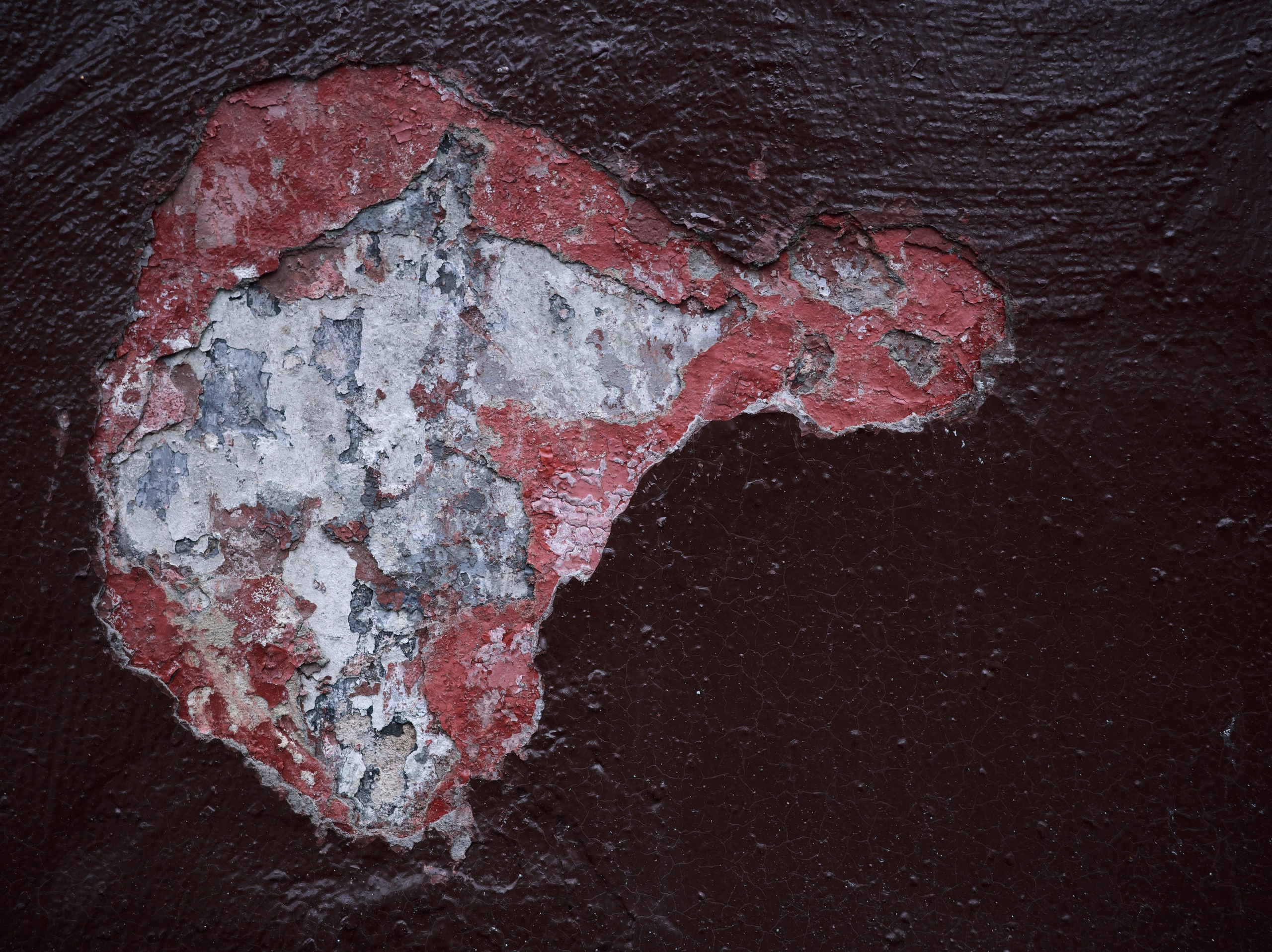 Картины на стенах 🦄. Миша Печёнкин | фотография