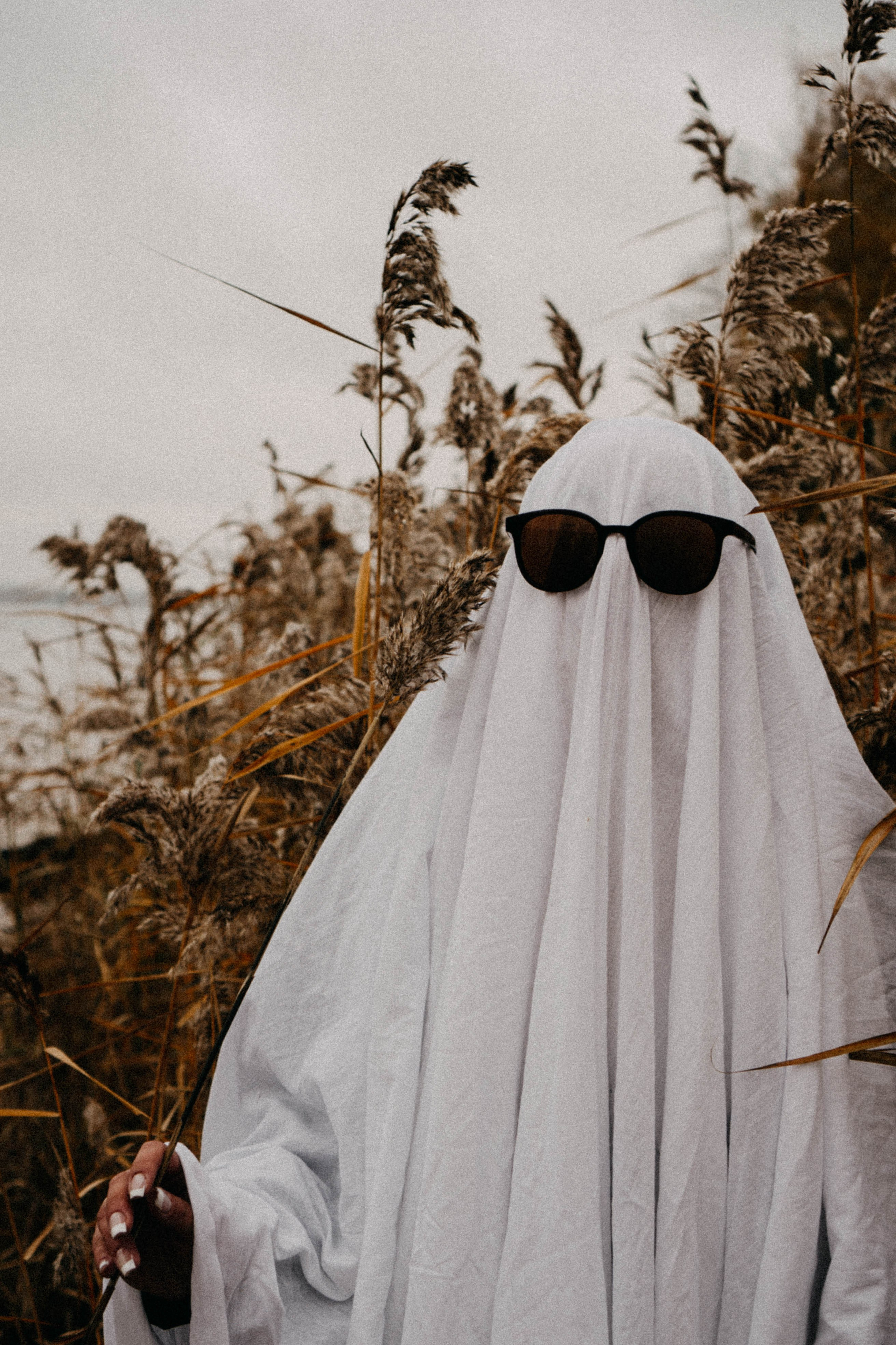 Осеняя. Профессиональный фотограф, Санкт-Петербург — Виктория Богомолова