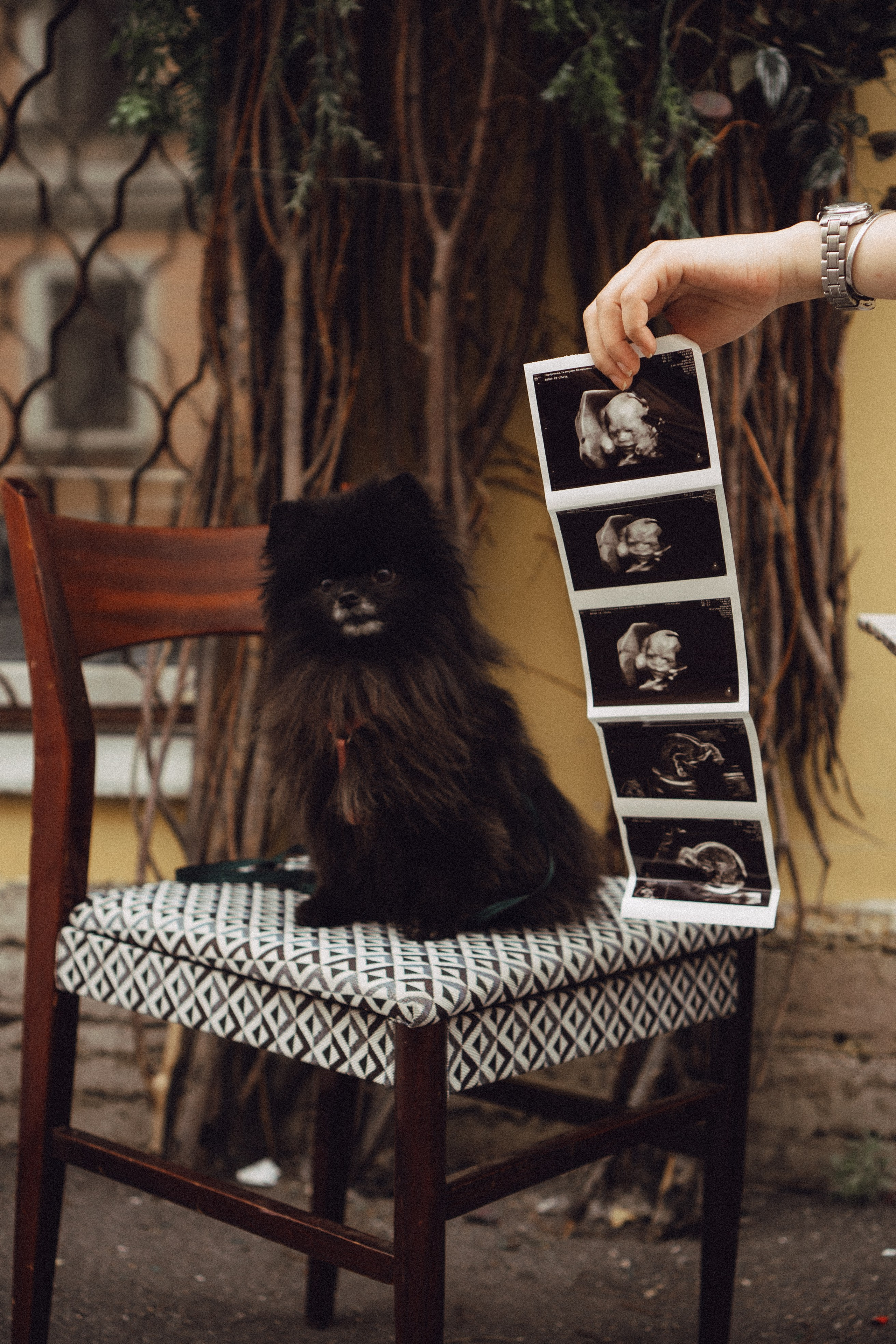 Беременность (только часть фото по желанию клиентов могу показать)). Профессиональный фотограф, Санкт-Петербург — Виктория Богомолова