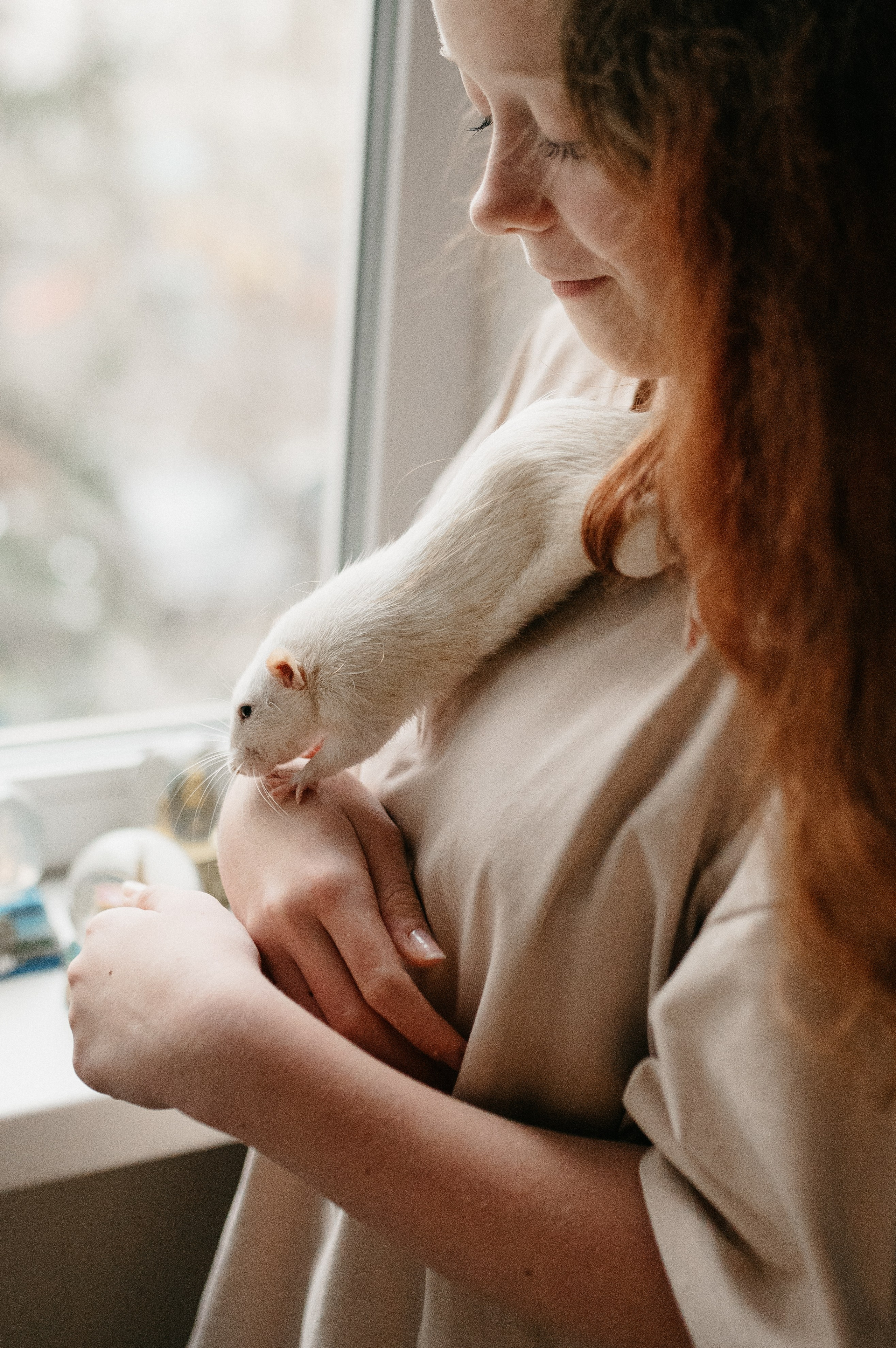 Даша, Диана, Дебби и маленькая крыска. Фотограф анималист в Москве Ольга Агушева
