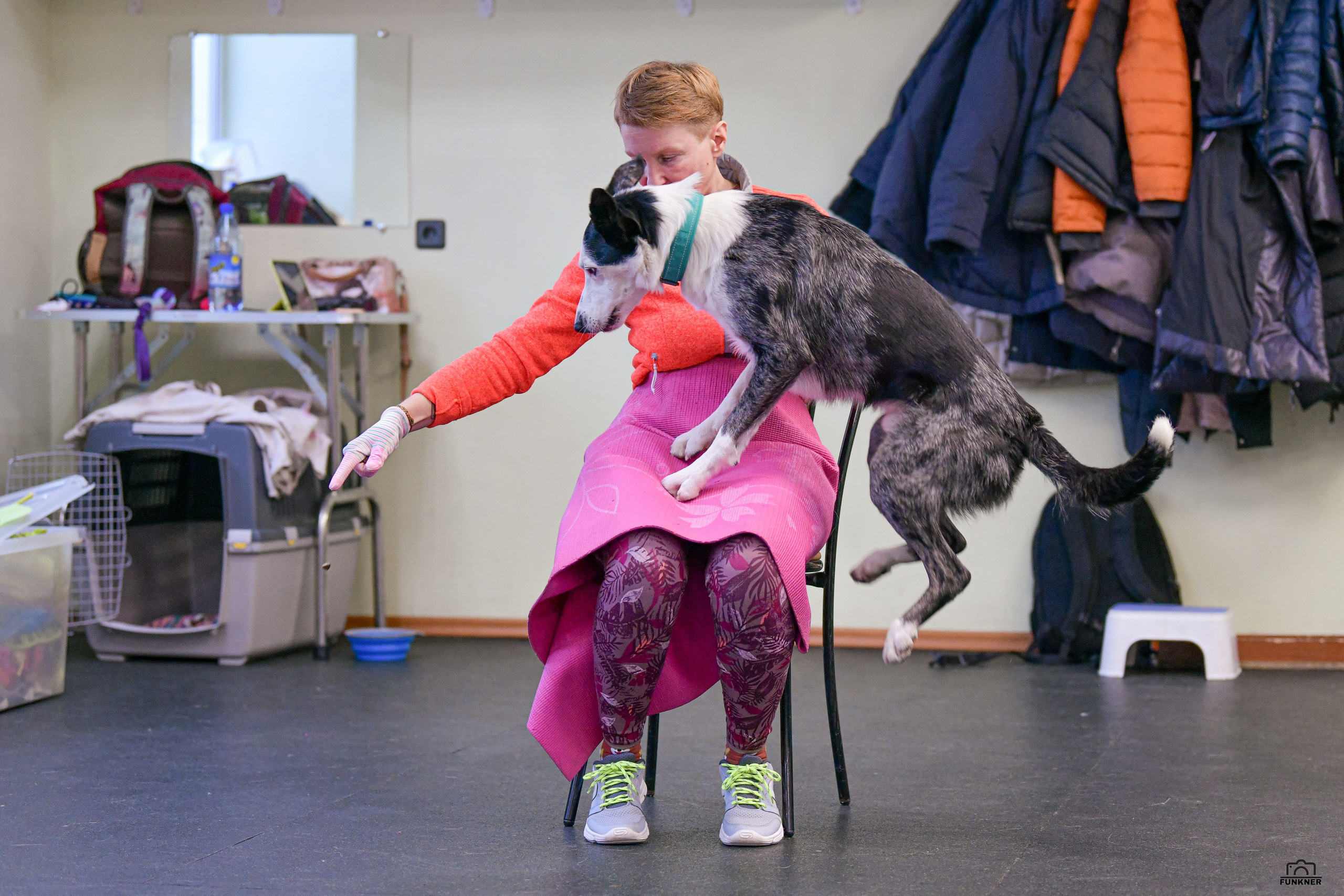 Кинологический клуб «Бодрый хвост». Свой взгляд через объектив