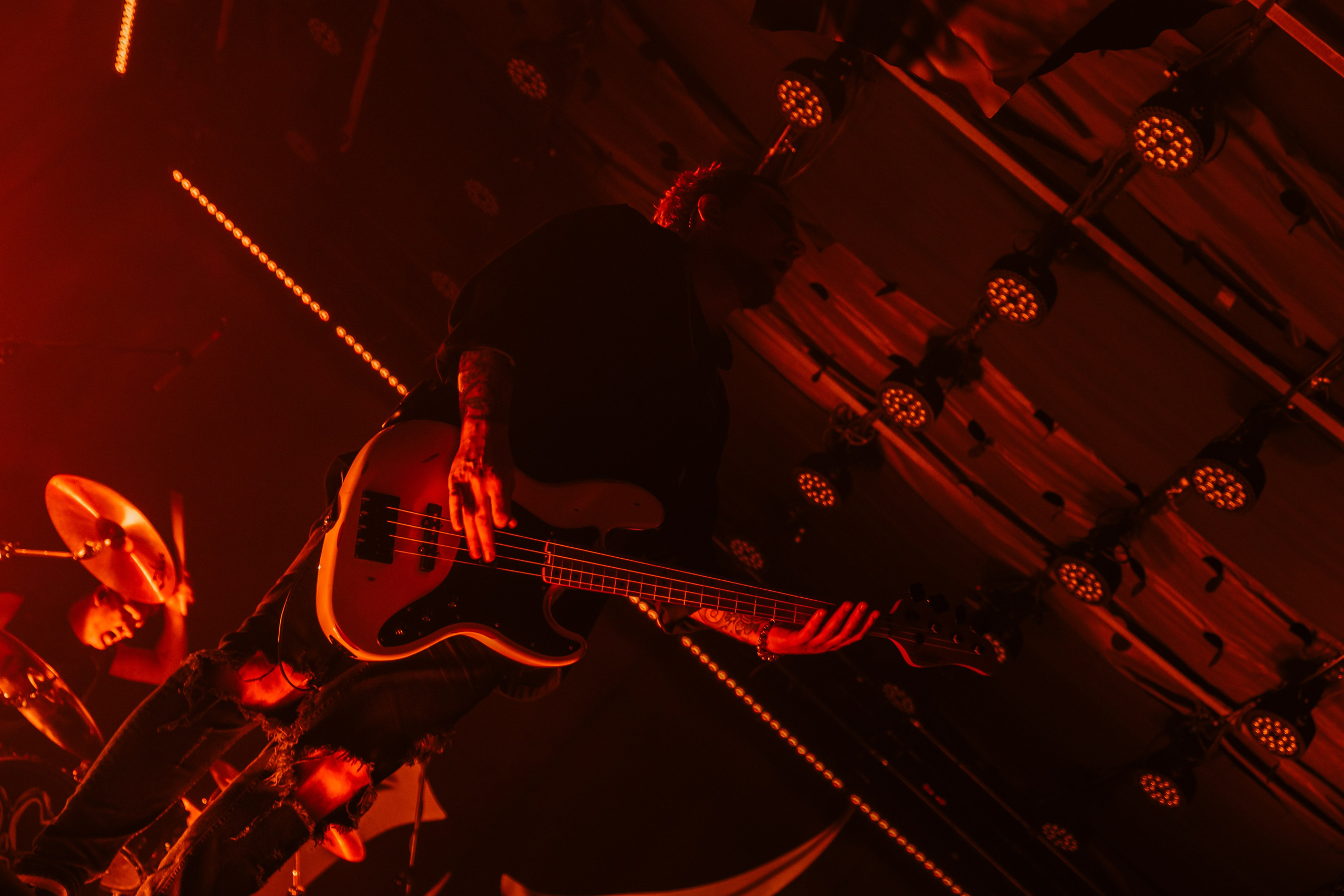 Wildways, Sound, 16.11.24. Репортажный фотограф, Санкт-Петербург