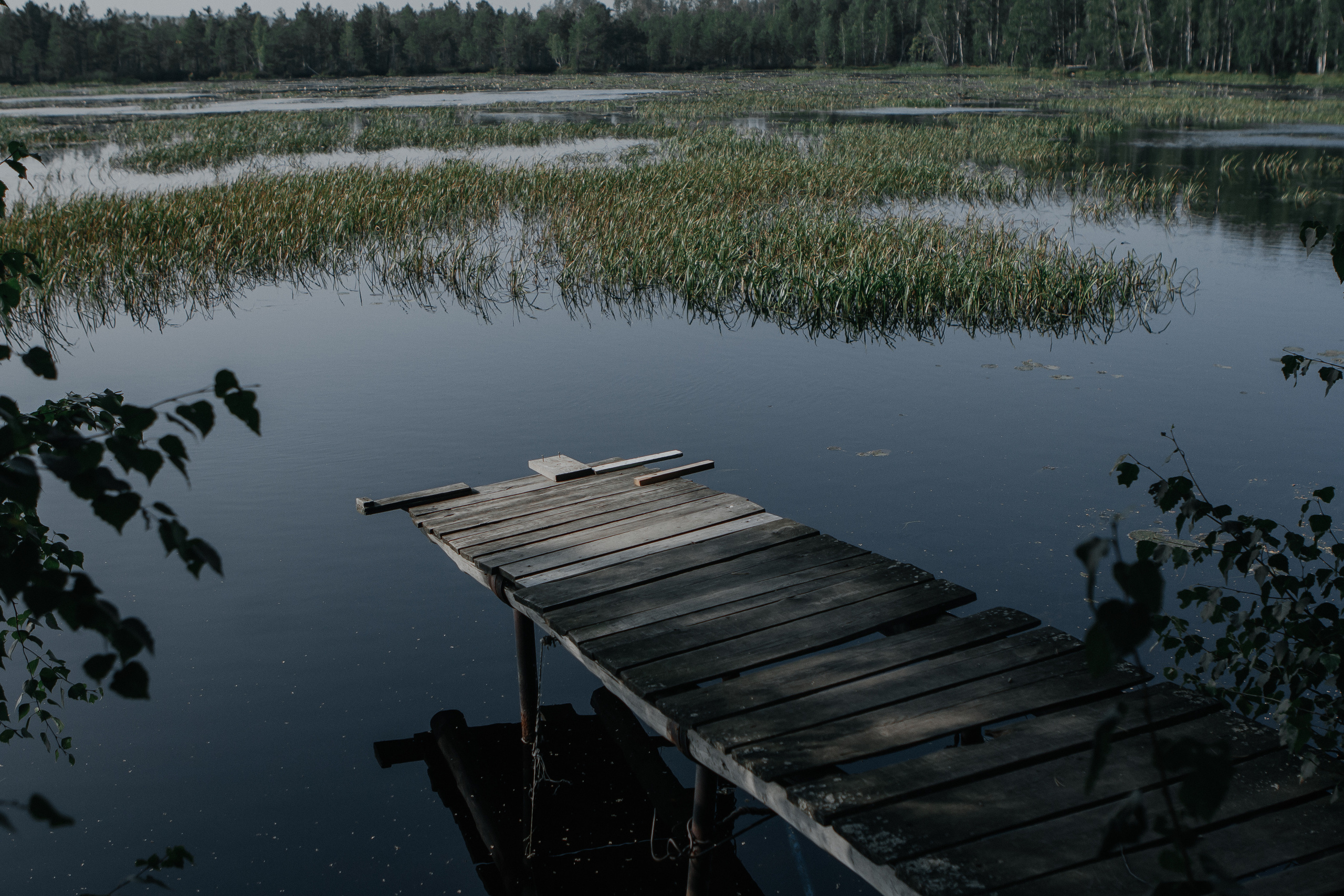 Love story Илья и Лера. Свадебный и семейный фотограф Ибрагимова Мария из Екатеринбурга