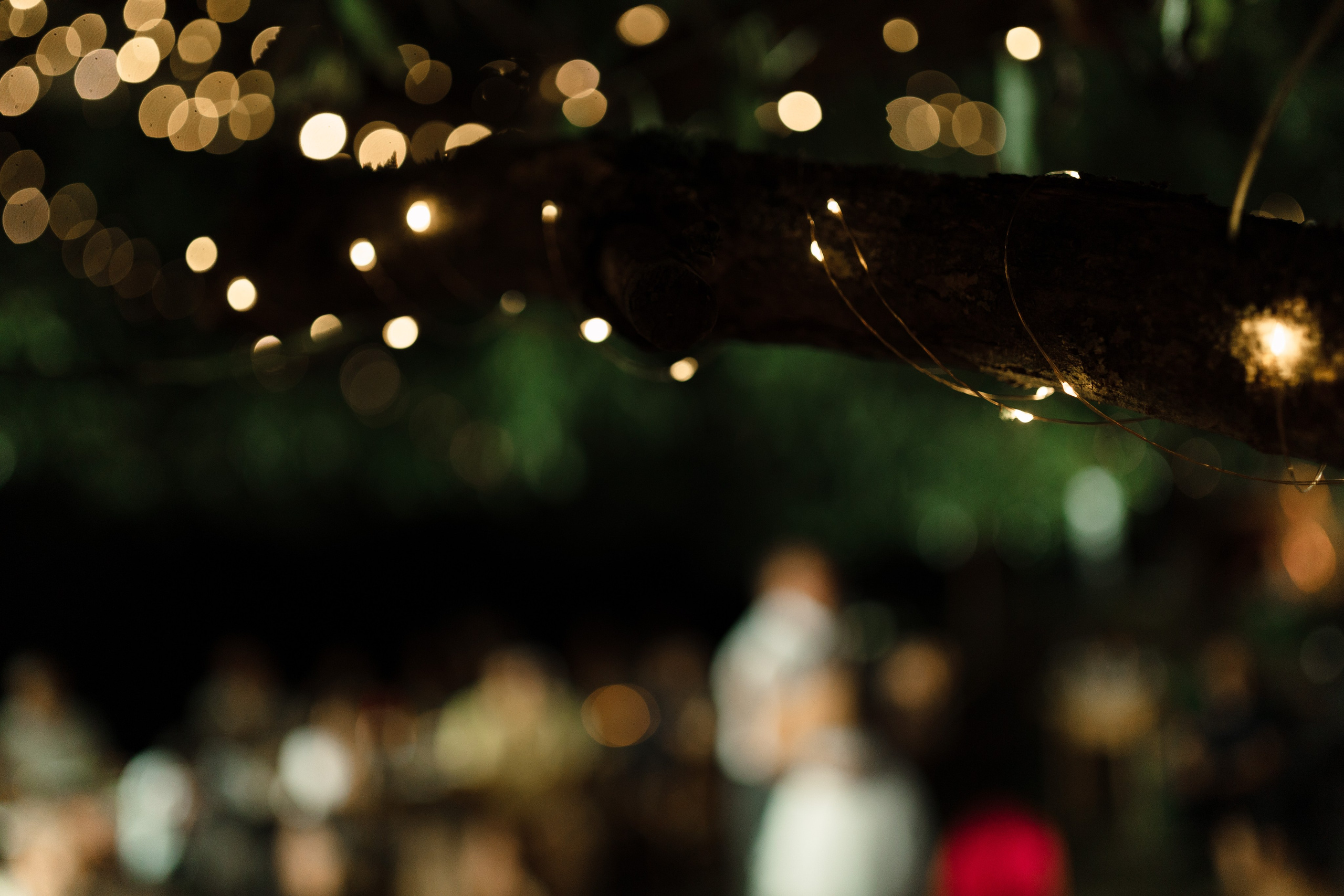 УСАДЬБА ГАНКА. Cheta Kovalevsky фотографы