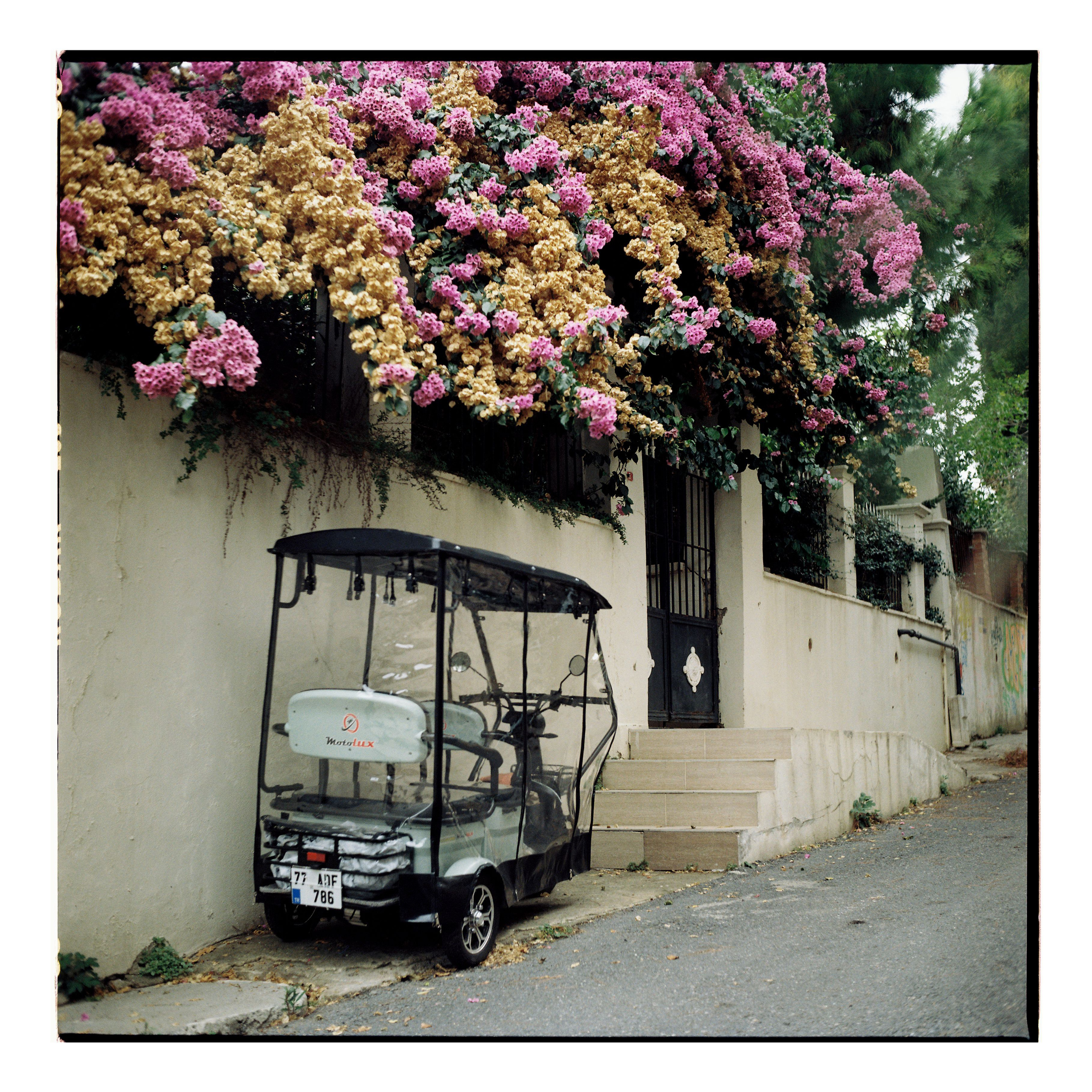 Стамбул, Турция. Портретный фотограф Софья Хворостова