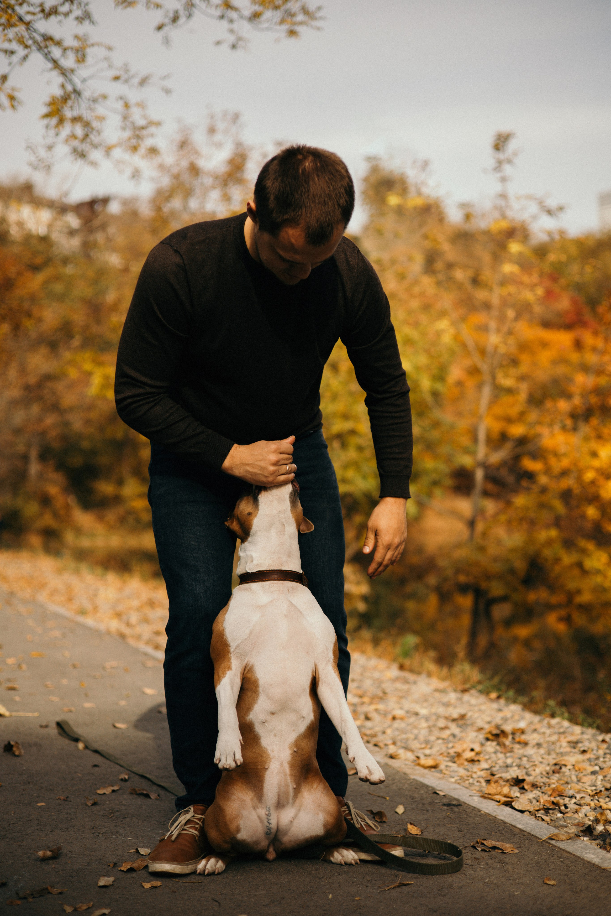 Лаффи и ее семья. Фотограф — анималист Владивосток, Алина