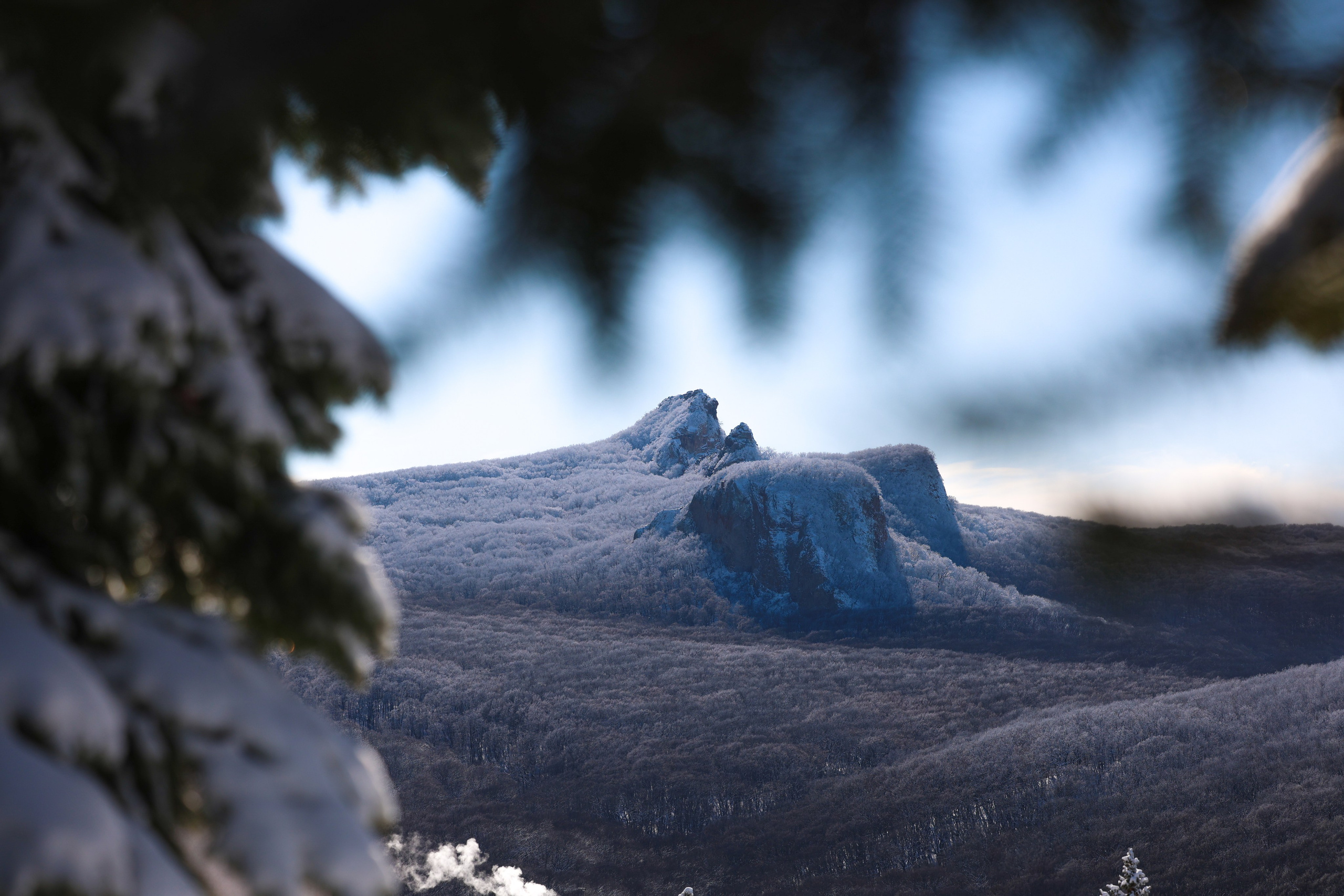 Фотограф Мария Алексеева. Мария Алексеева. Фотограф в Москве