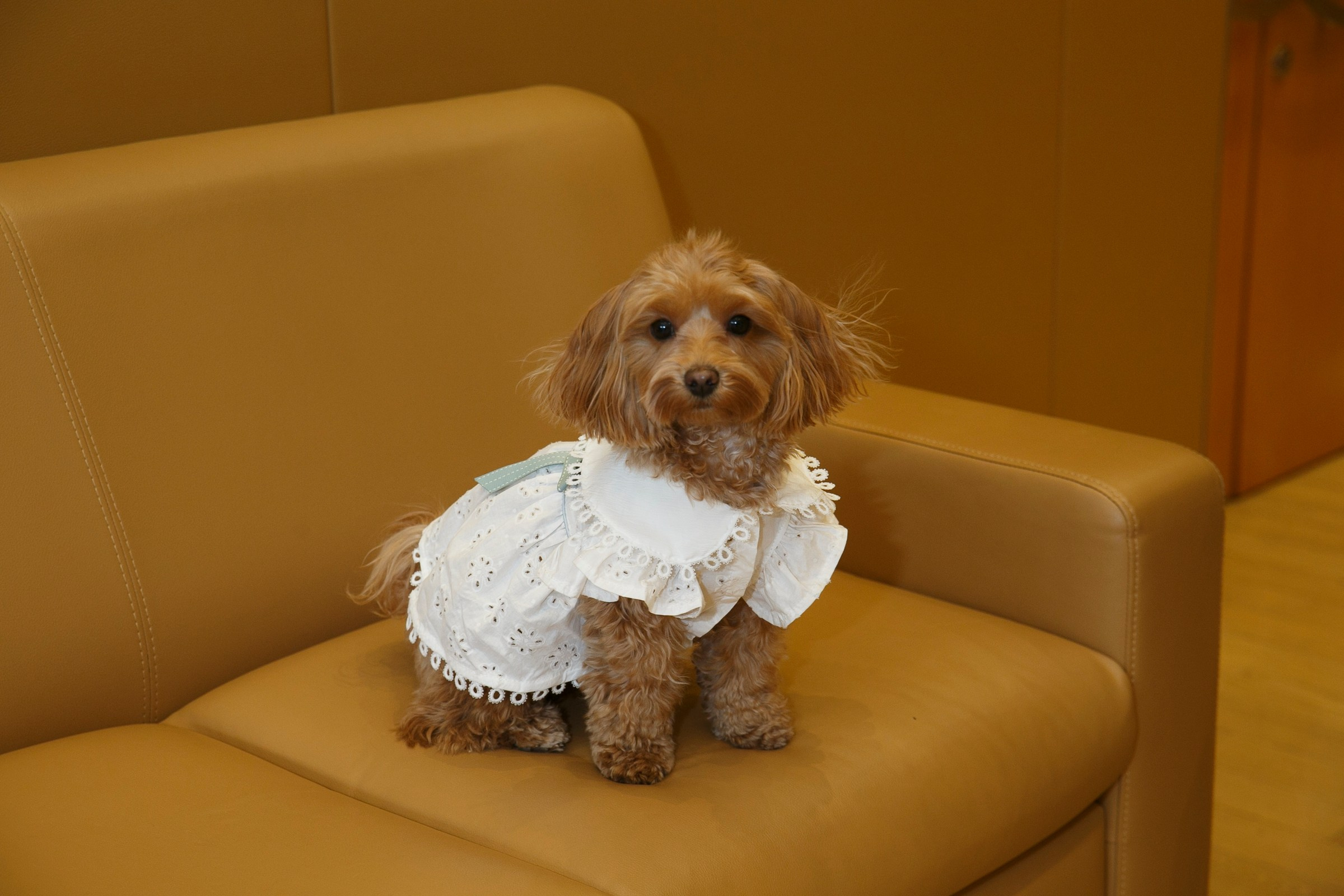 Дания и Тимур. Барвиха. Фотограф в Москве