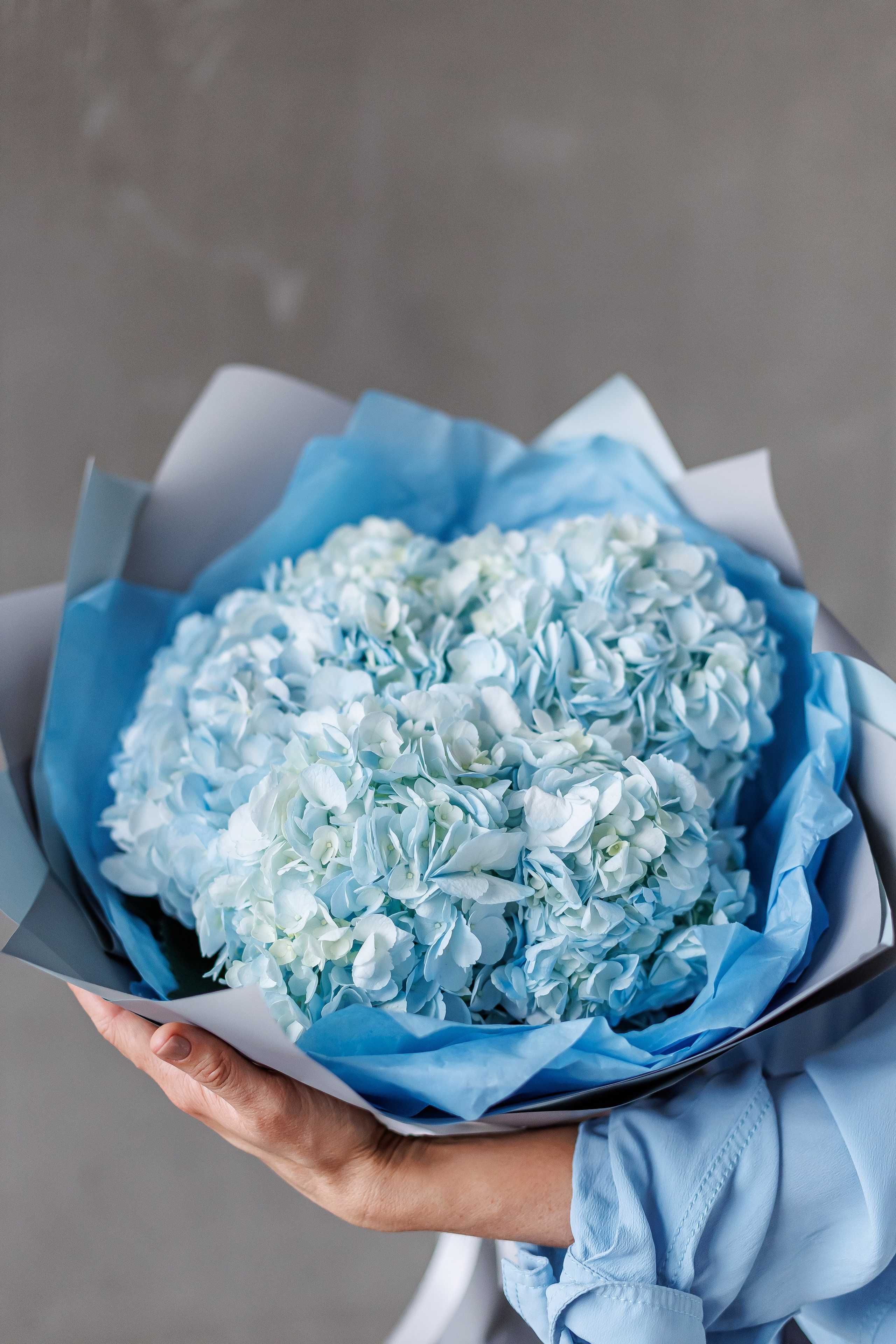 Каталоги. Фотограф в Москве Базанова Дарья