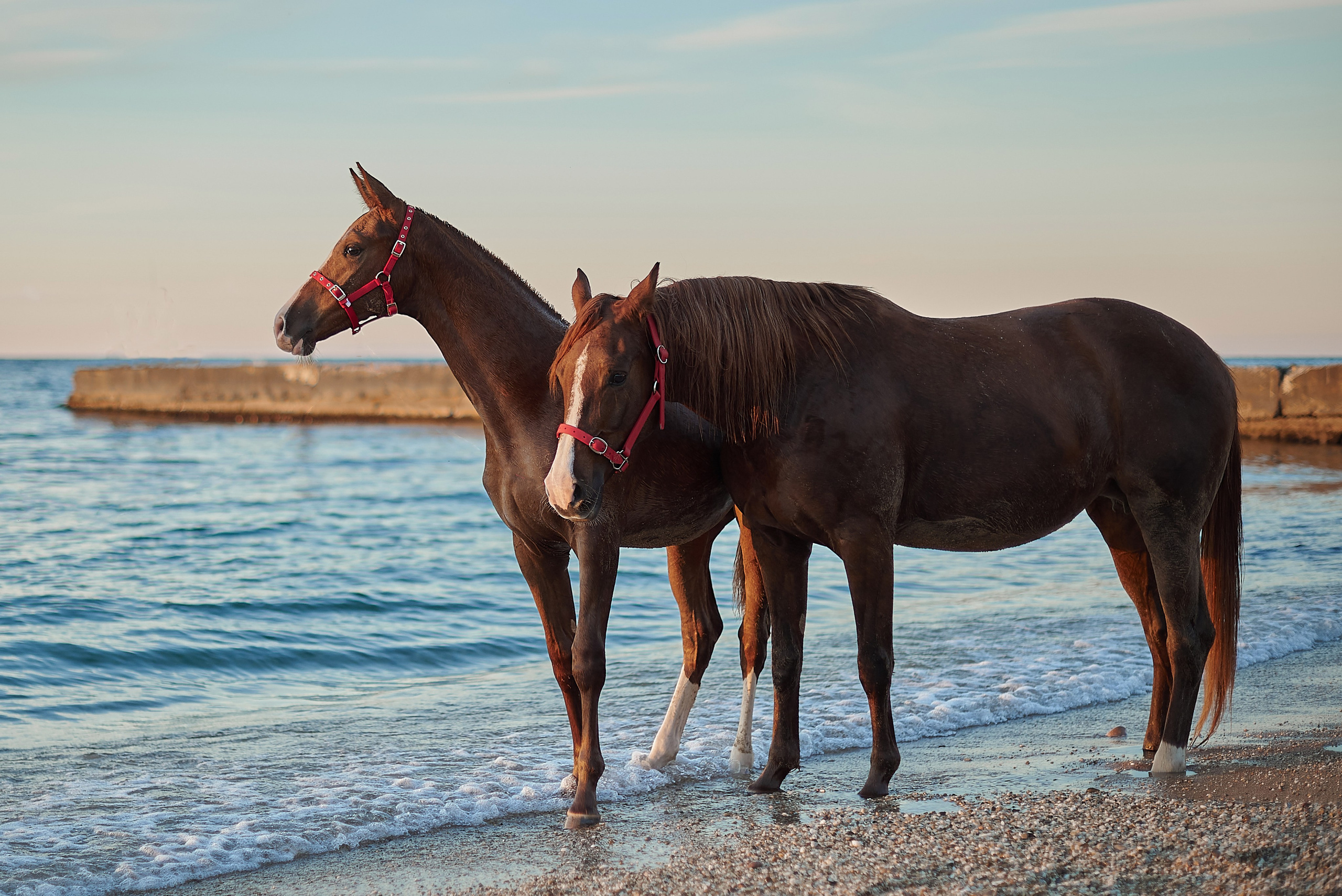 Галактика и Кассиопея. Фотограф в Севастополе