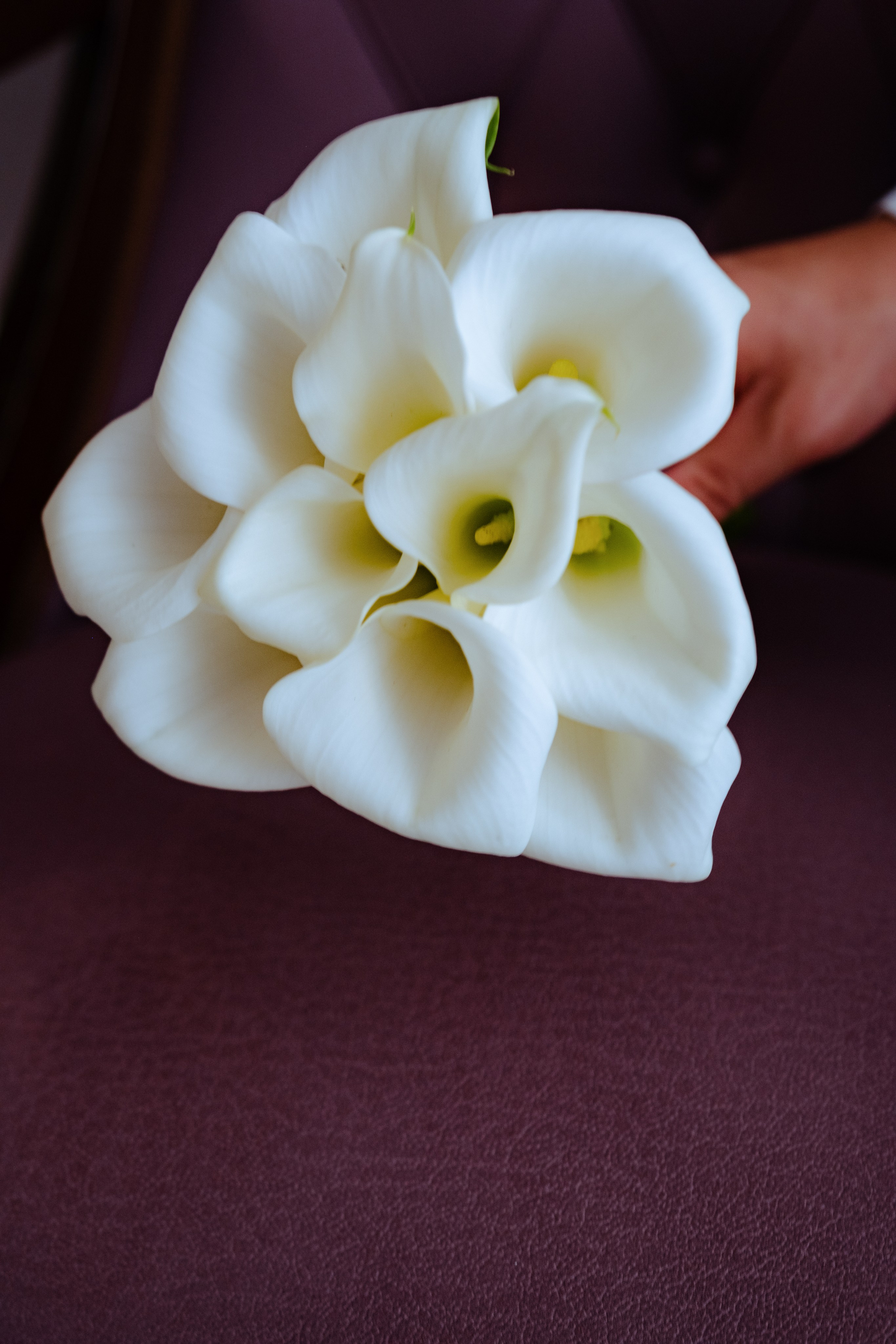 Арина & Никита. Свадебный, семейный фотограф в Санкт-Петербурге