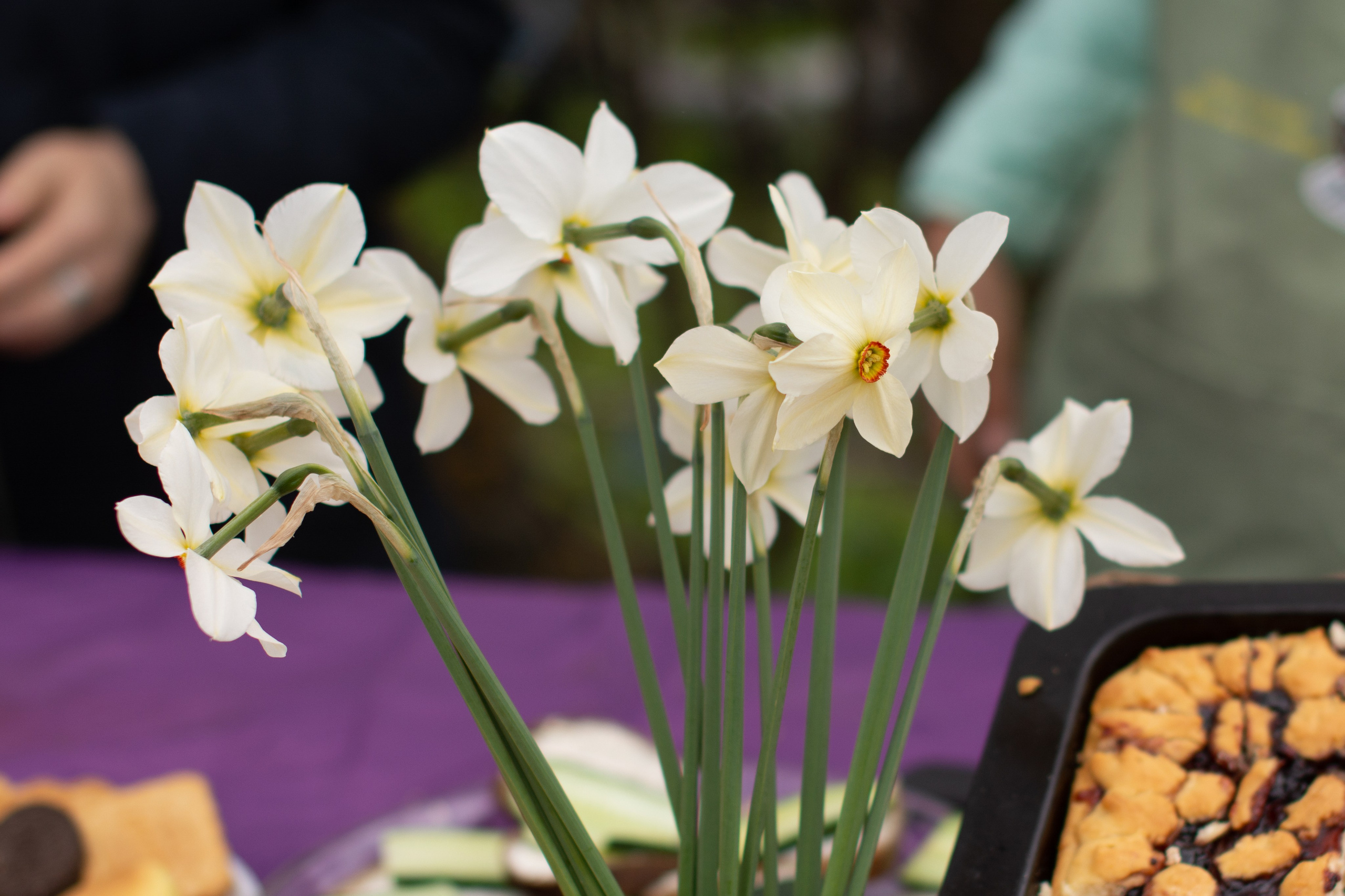 Том Сойер Фест ул. Кардовского 25 (репортаж). Портретная и репортажная съёмка