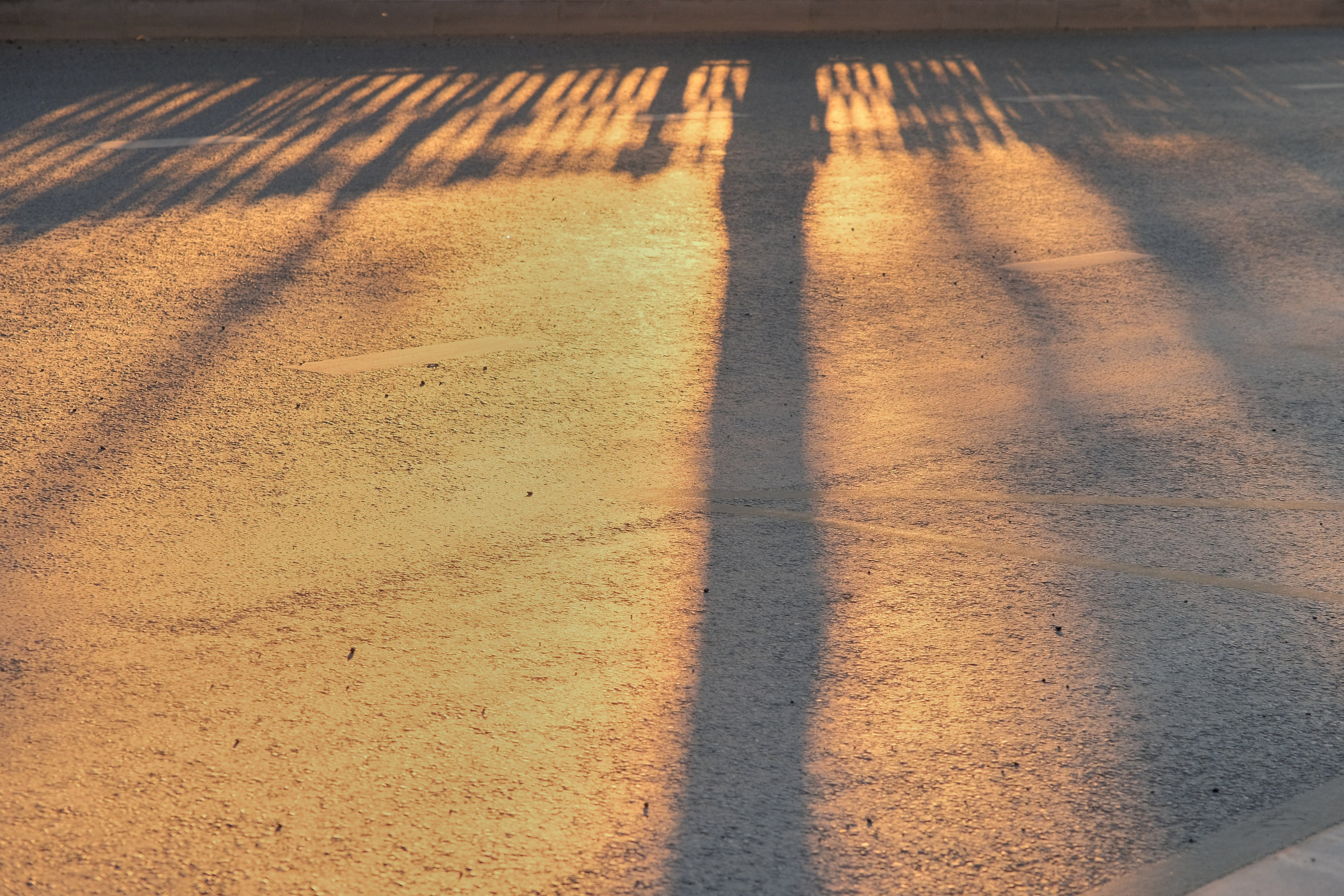 Москва — Владивосток. Охота за образами Мира. Shaltay Gallery