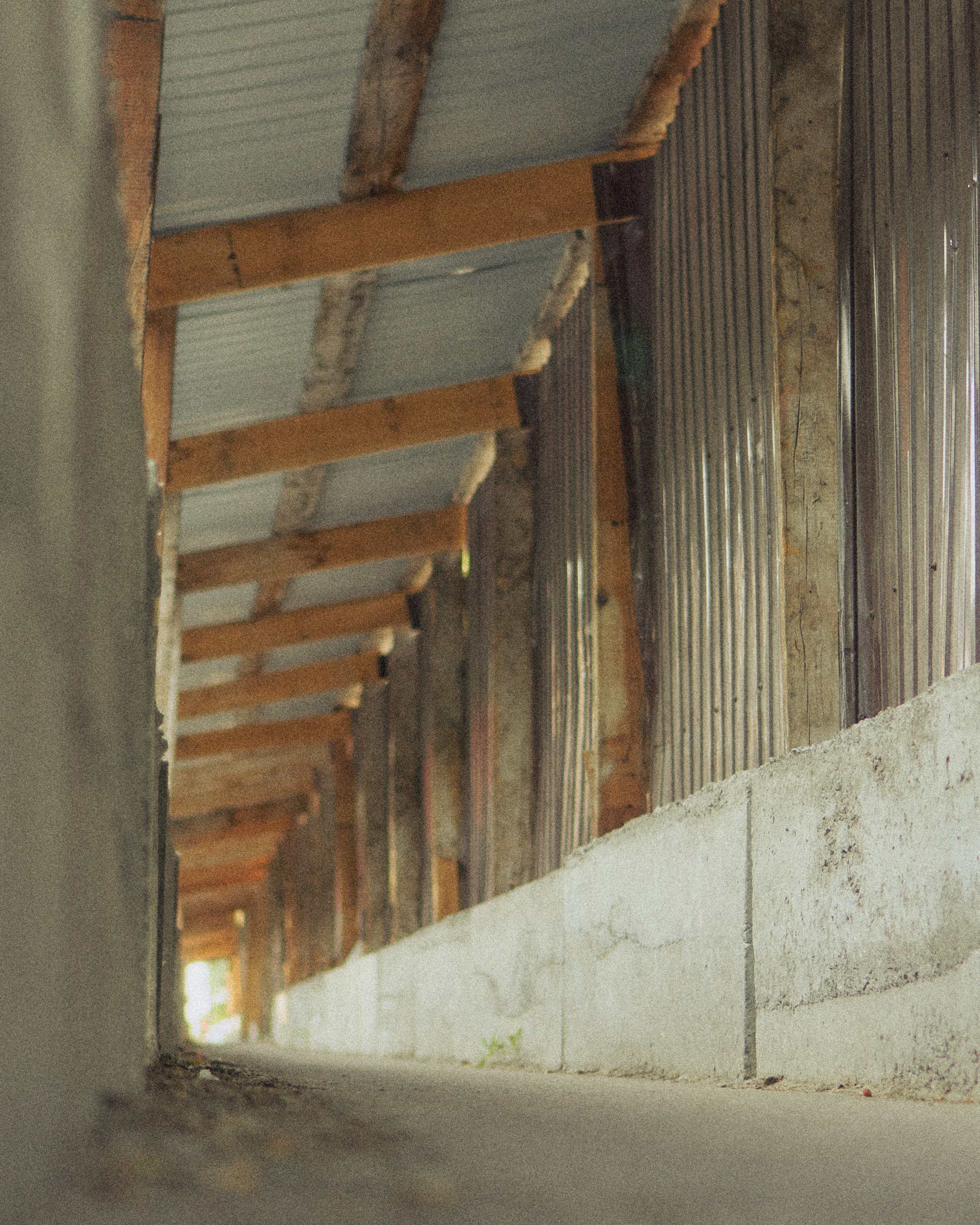 Благовещенск_2025_07_01. ALEXGAVR.PH