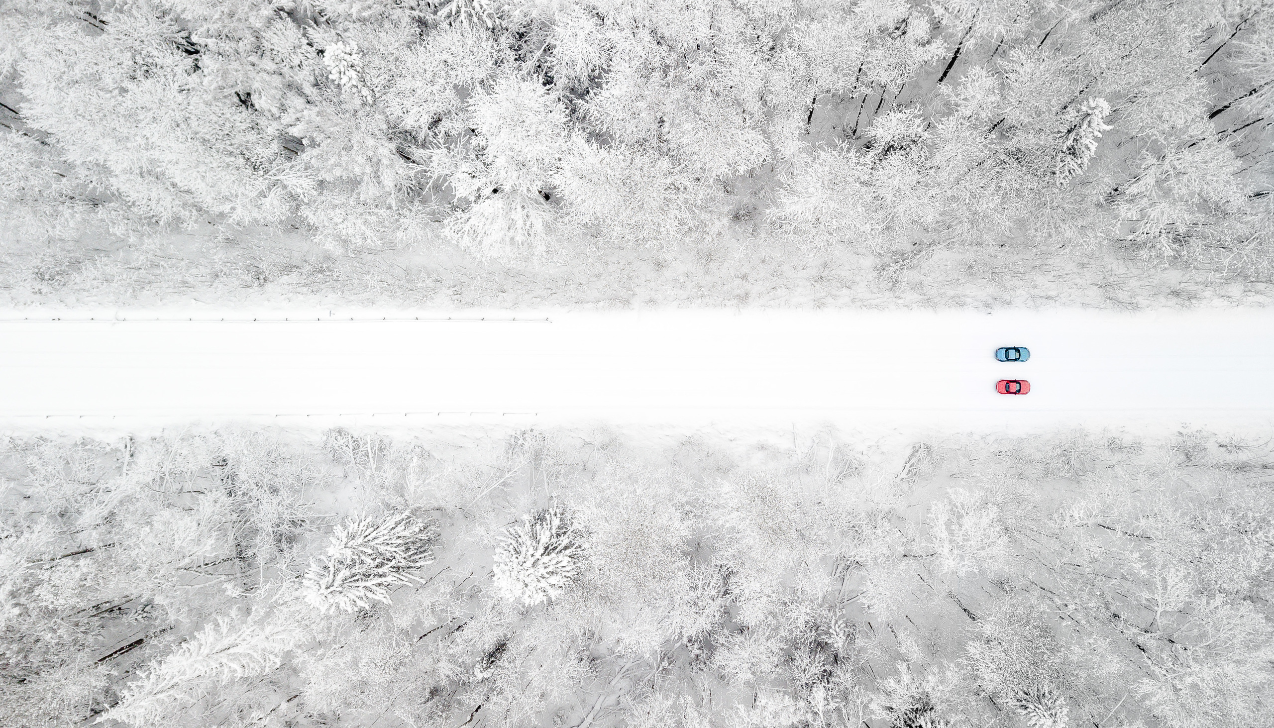 Фотограф Дмитрий Питерский