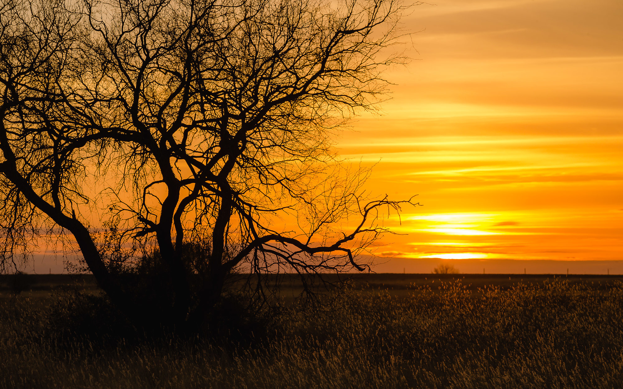 Техас. Фотограф Дмитрий Питерский