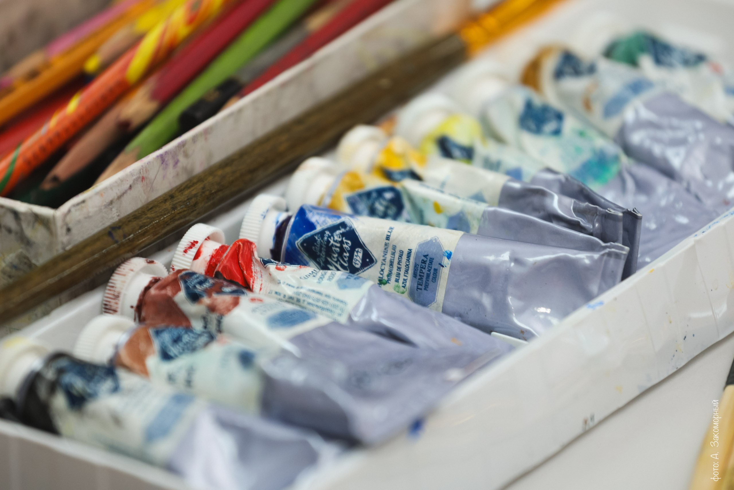 Литературные чтения. Фотомастерская Андрея Закоморного