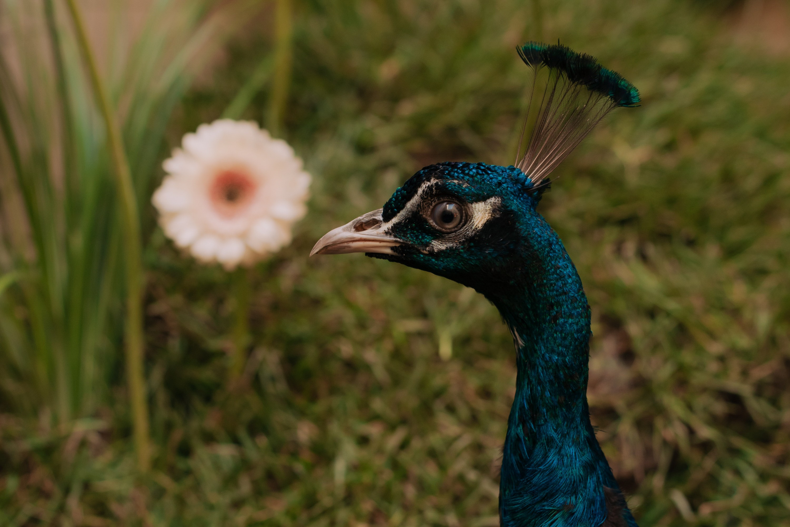 Адище города. Портретный и репортажный фотограф в Санкт-Петербурге Максим Пашков