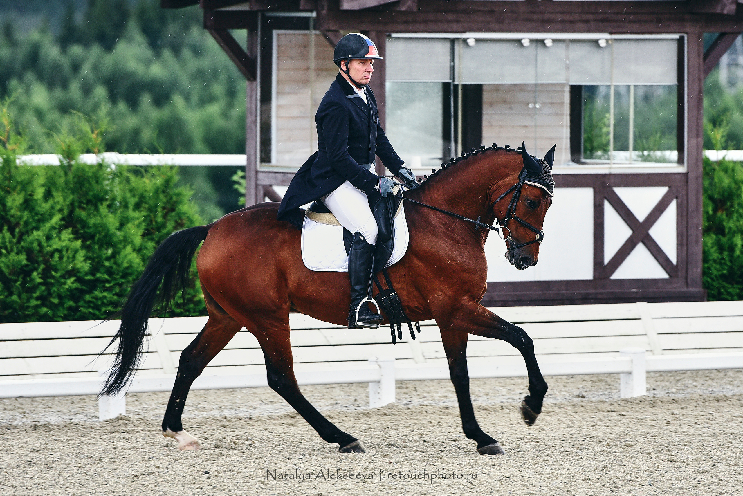 Открытая тренировка по двоеборью, Maxima Stables | 07'2020. Репортажный фотограф и ретушер в Москве Наталья Алексеева