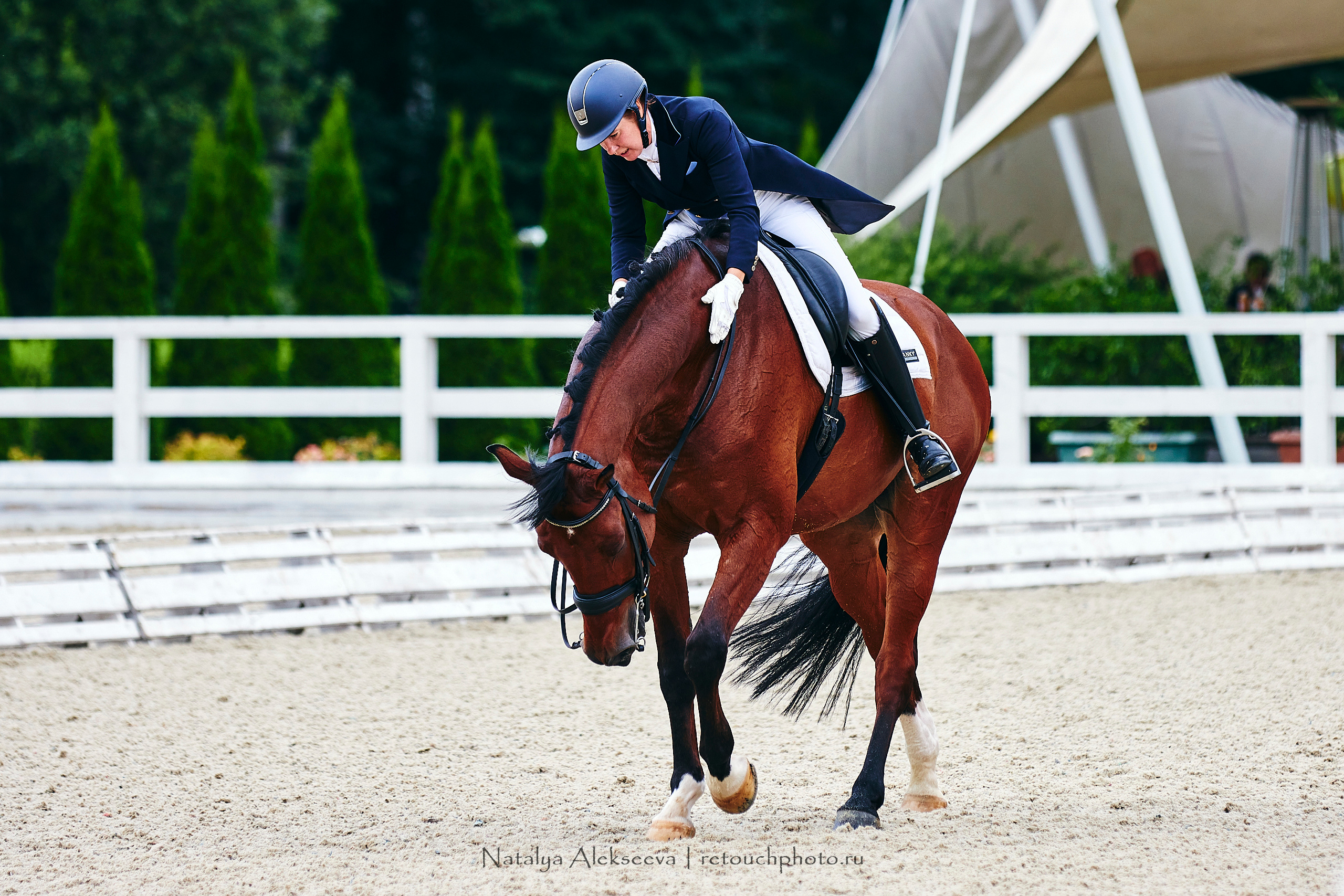 Кубок Красногорского района по выездке, КСК Отрада | 07'2020. Репортажный фотограф и ретушер в Москве Наталья Алексеева