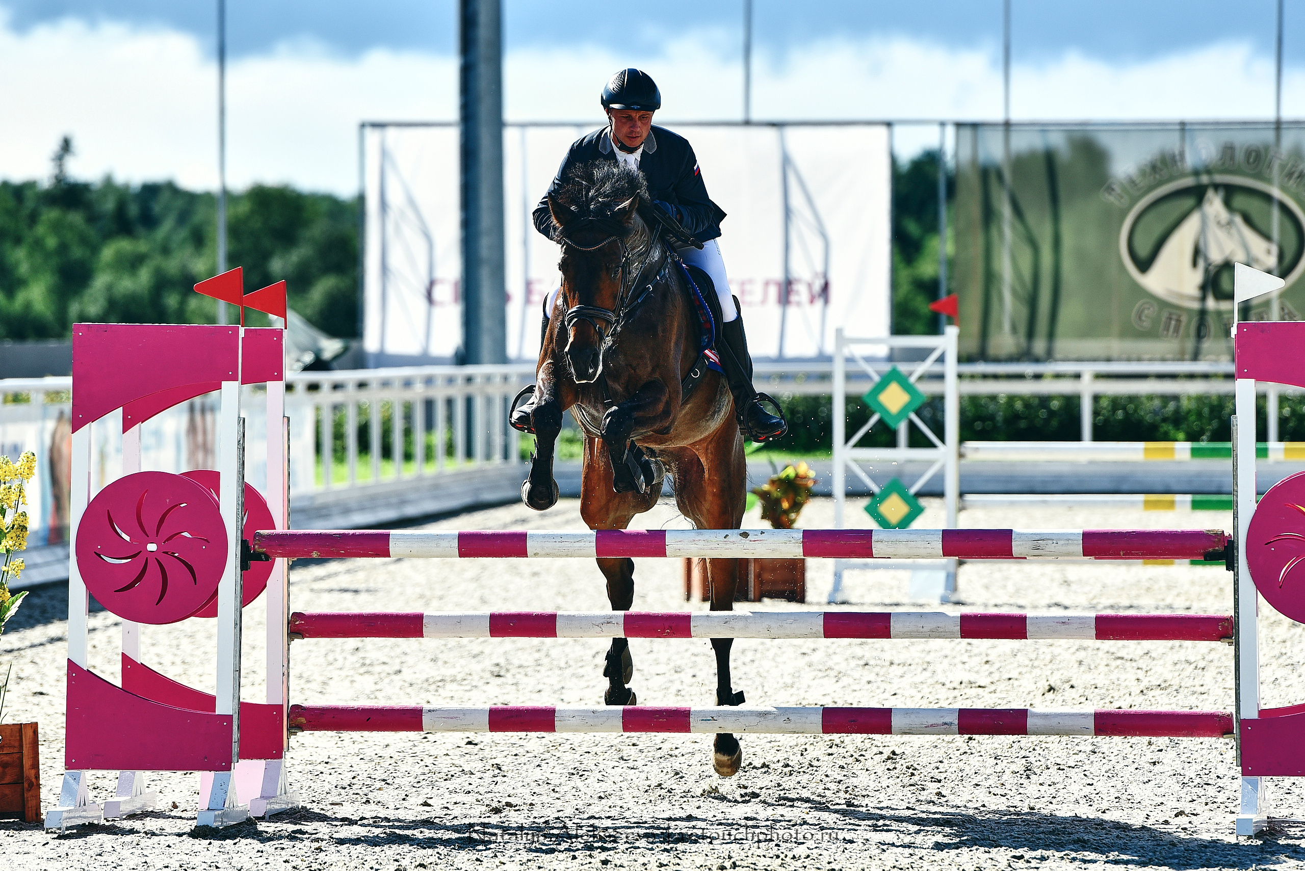 Открытая тренировка по двоеборью, Maxima Stables | 07'2020. Репортажный фотограф и ретушер в Москве Наталья Алексеева