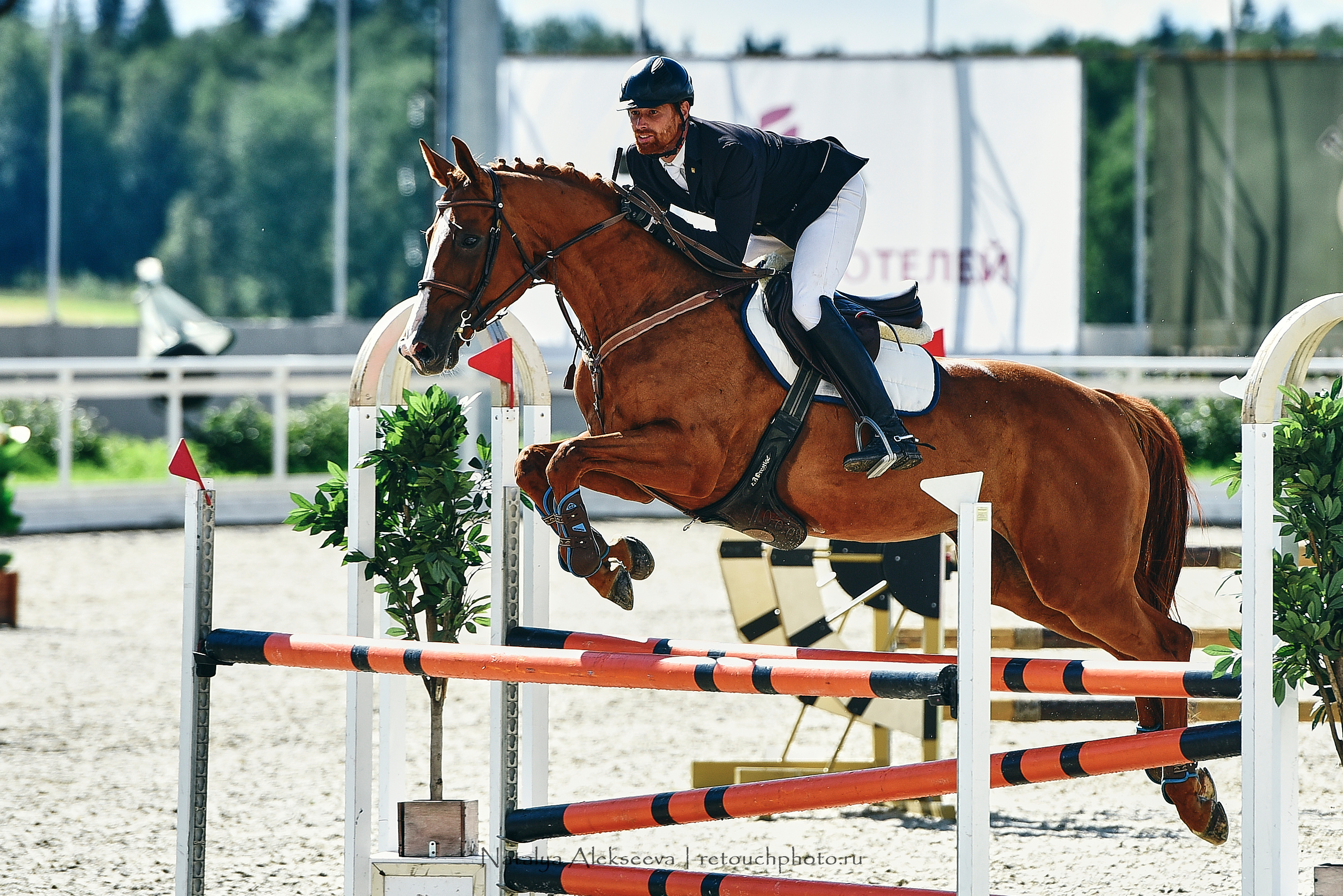 Открытая тренировка по двоеборью, Maxima Stables | 07'2020. Репортажный фотограф и ретушер в Москве Наталья Алексеева