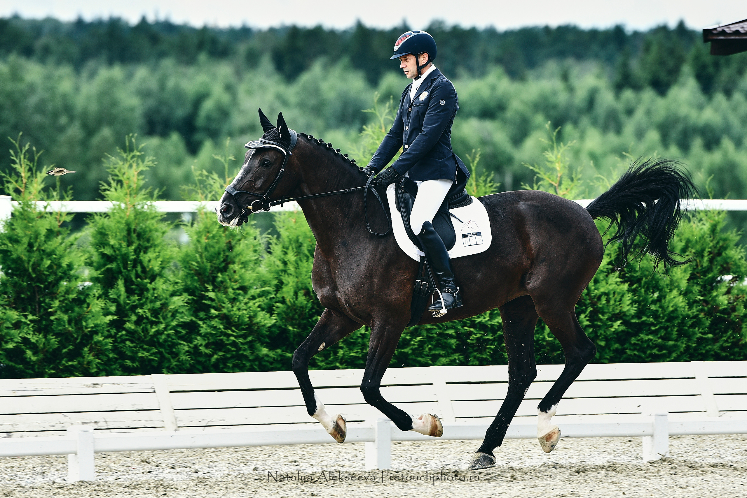 Открытая тренировка по двоеборью, Maxima Stables | 07'2020. Репортажный фотограф и ретушер в Москве Наталья Алексеева