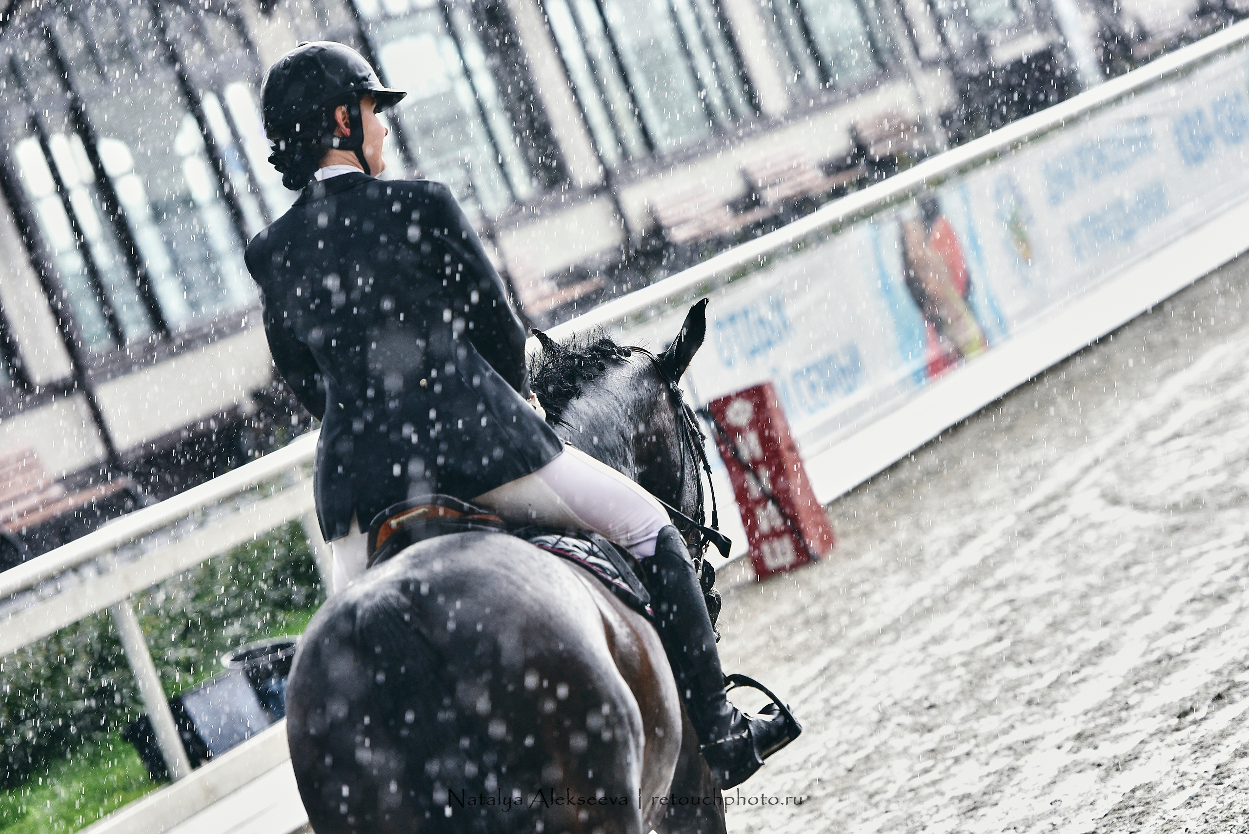 Открытая тренировка по двоеборью, Maxima Stables | 07'2020. Репортажный фотограф и ретушер в Москве Наталья Алексеева