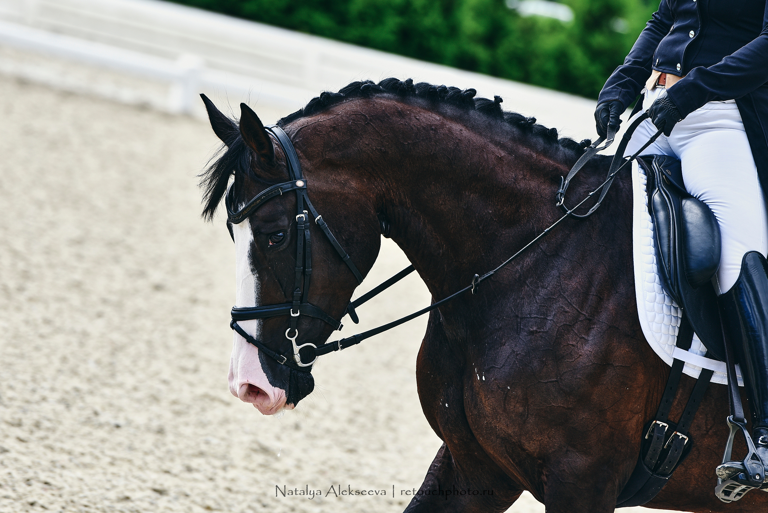 Открытая тренировка по двоеборью, Maxima Stables | 07'2020. Репортажный фотограф и ретушер в Москве Наталья Алексеева