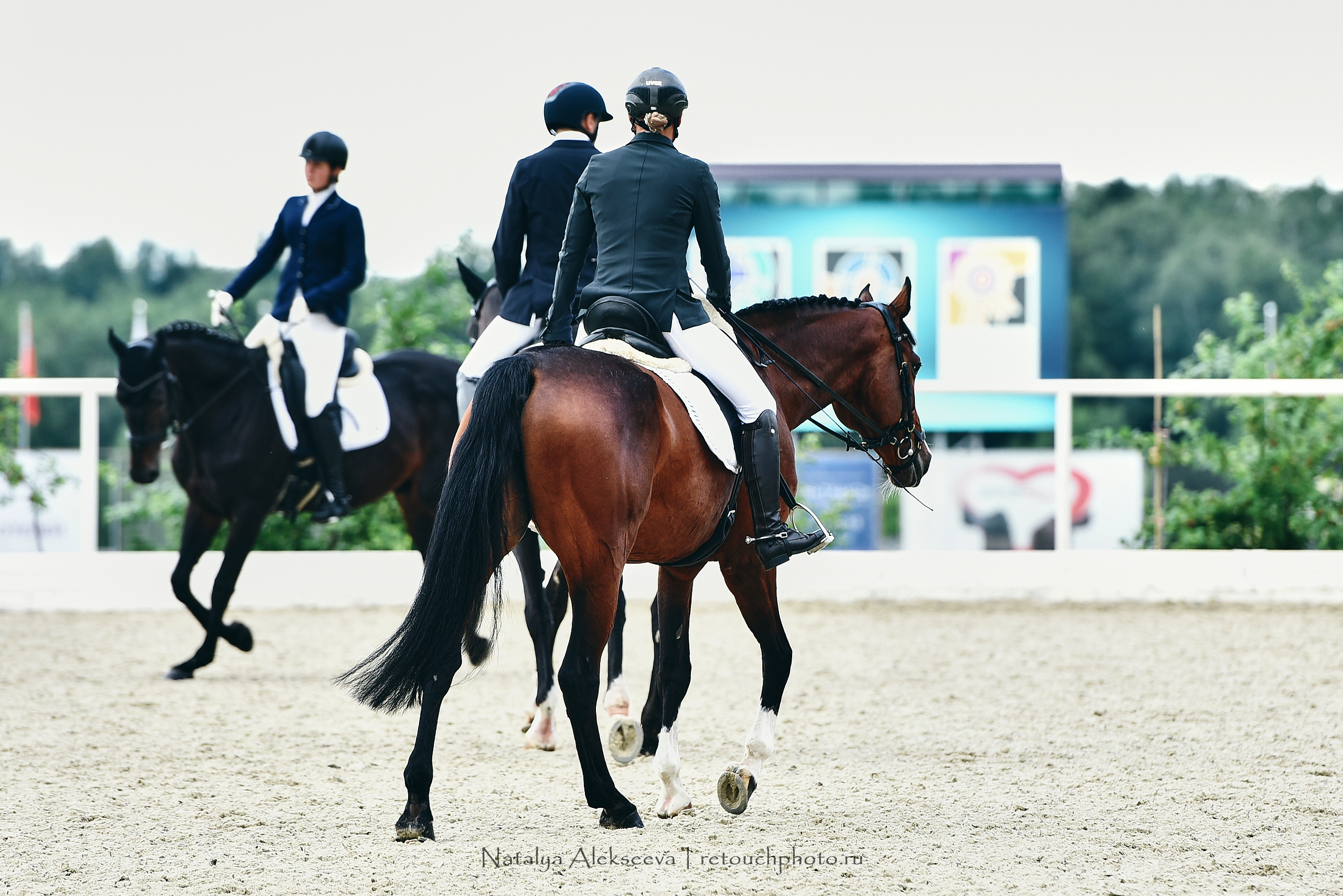 Открытая тренировка по двоеборью, Maxima Stables | 07'2020. Репортажный фотограф и ретушер в Москве Наталья Алексеева