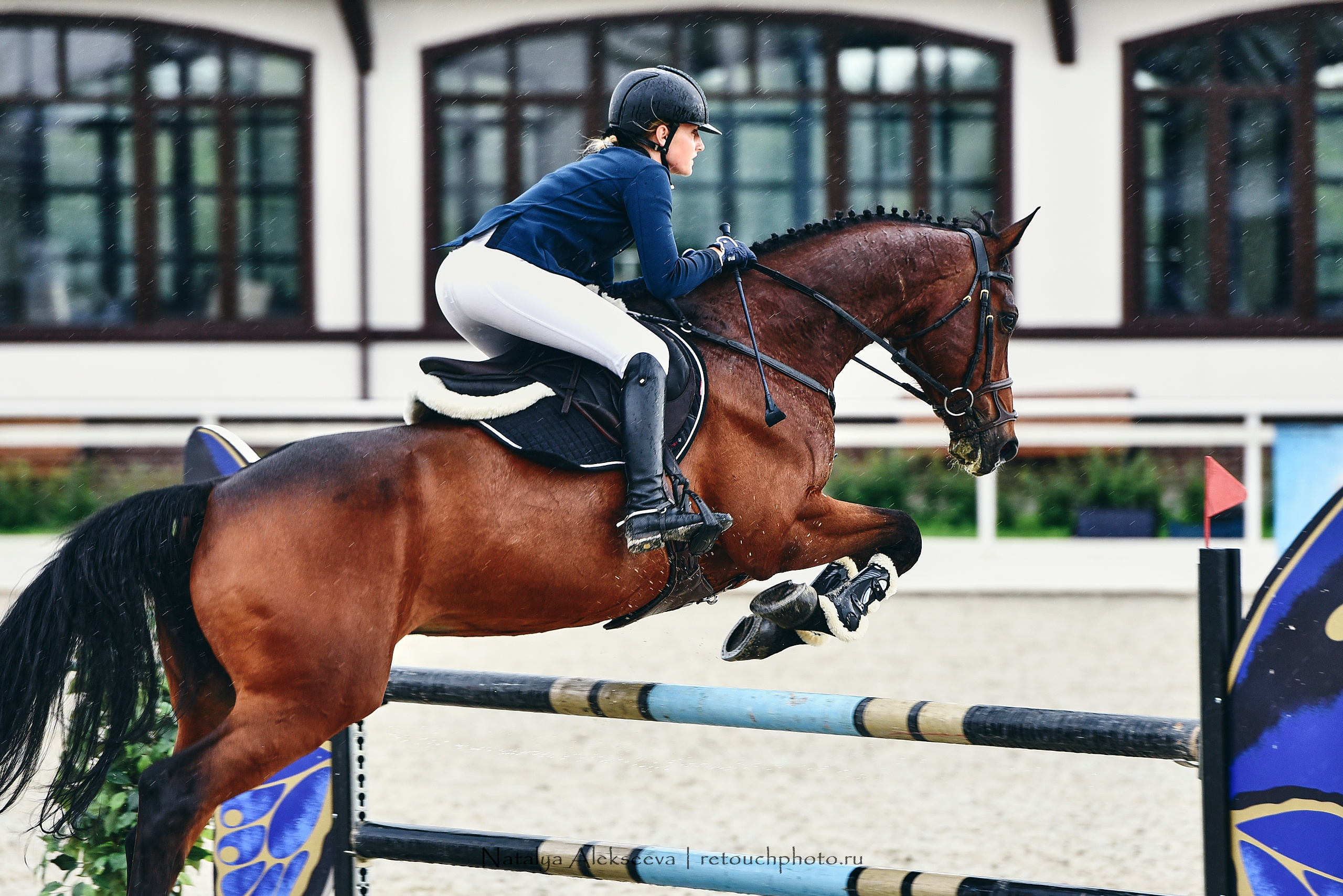 Открытая тренировка по двоеборью, Maxima Stables | 07'2020. Репортажный фотограф и ретушер в Москве Наталья Алексеева