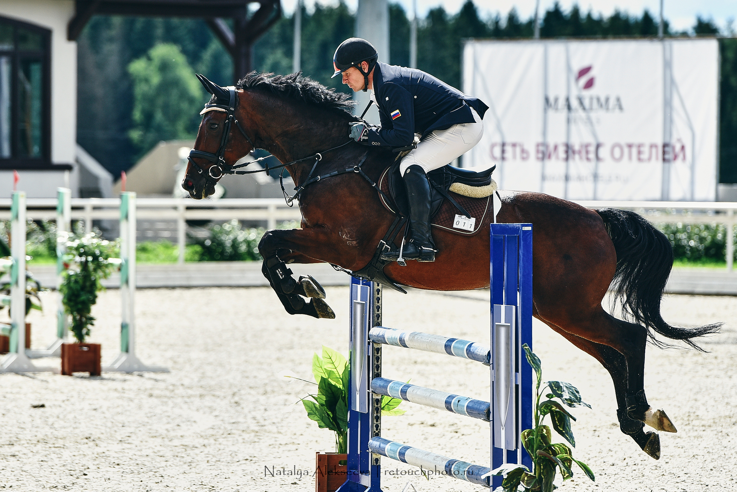 Открытая тренировка по двоеборью, Maxima Stables | 07'2020. Репортажный фотограф и ретушер в Москве Наталья Алексеева