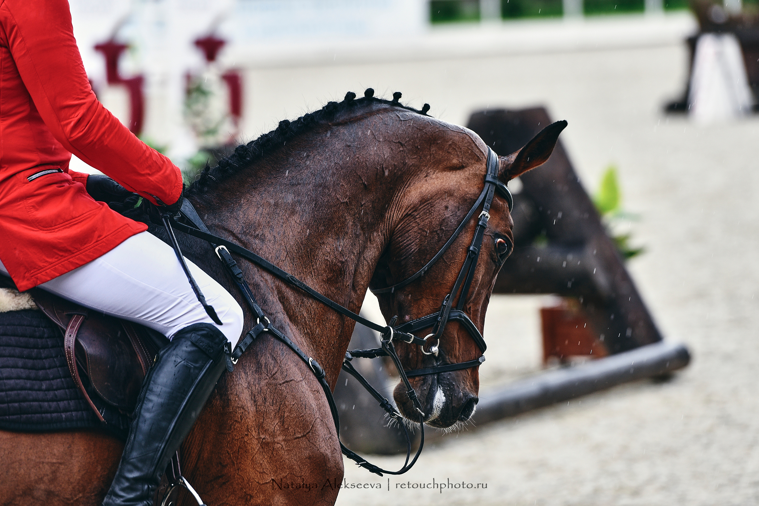 Открытая тренировка по двоеборью, Maxima Stables | 07'2020. Репортажный фотограф и ретушер в Москве Наталья Алексеева