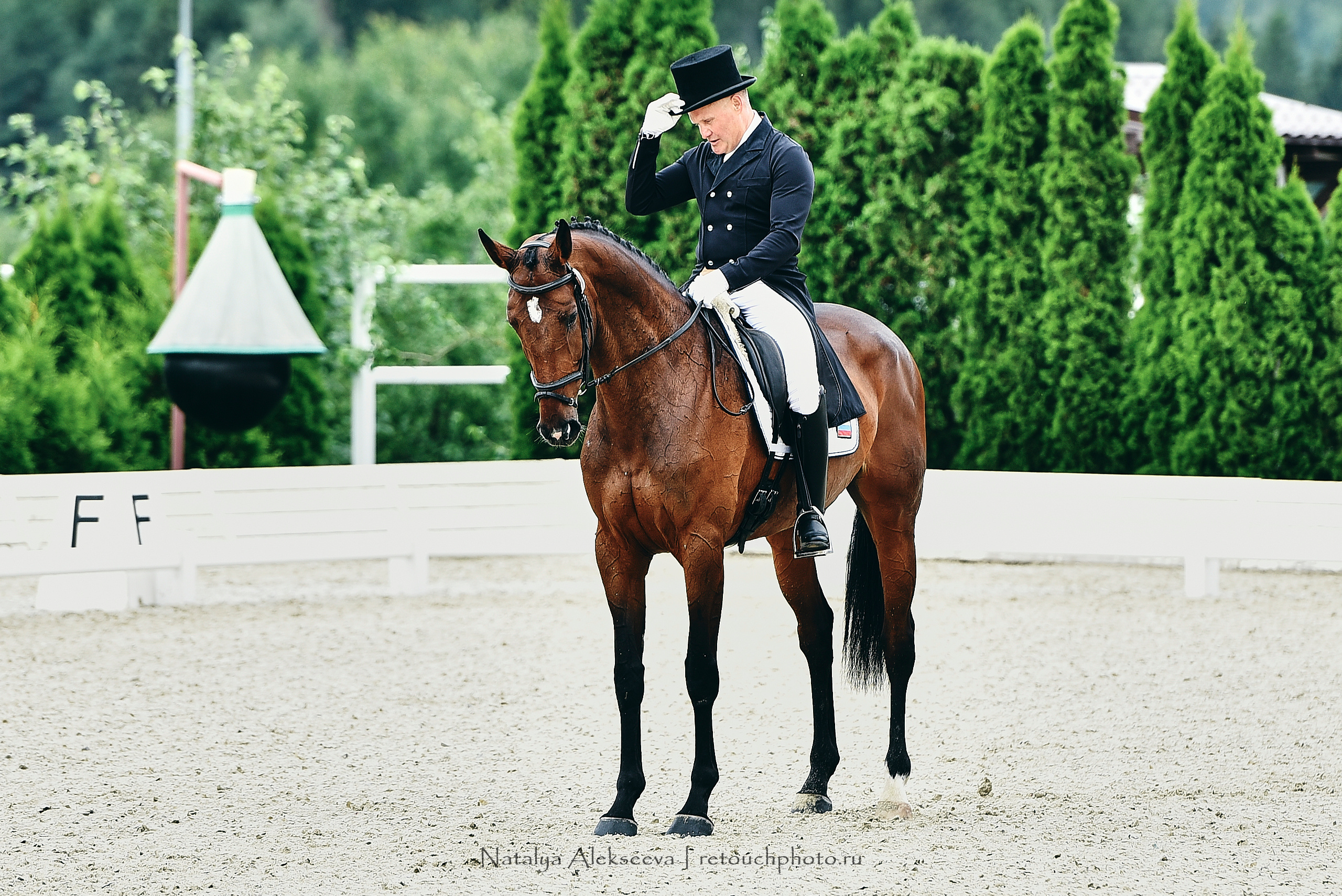 Открытая тренировка по двоеборью, Maxima Stables | 07'2020. Репортажный фотограф и ретушер в Москве Наталья Алексеева