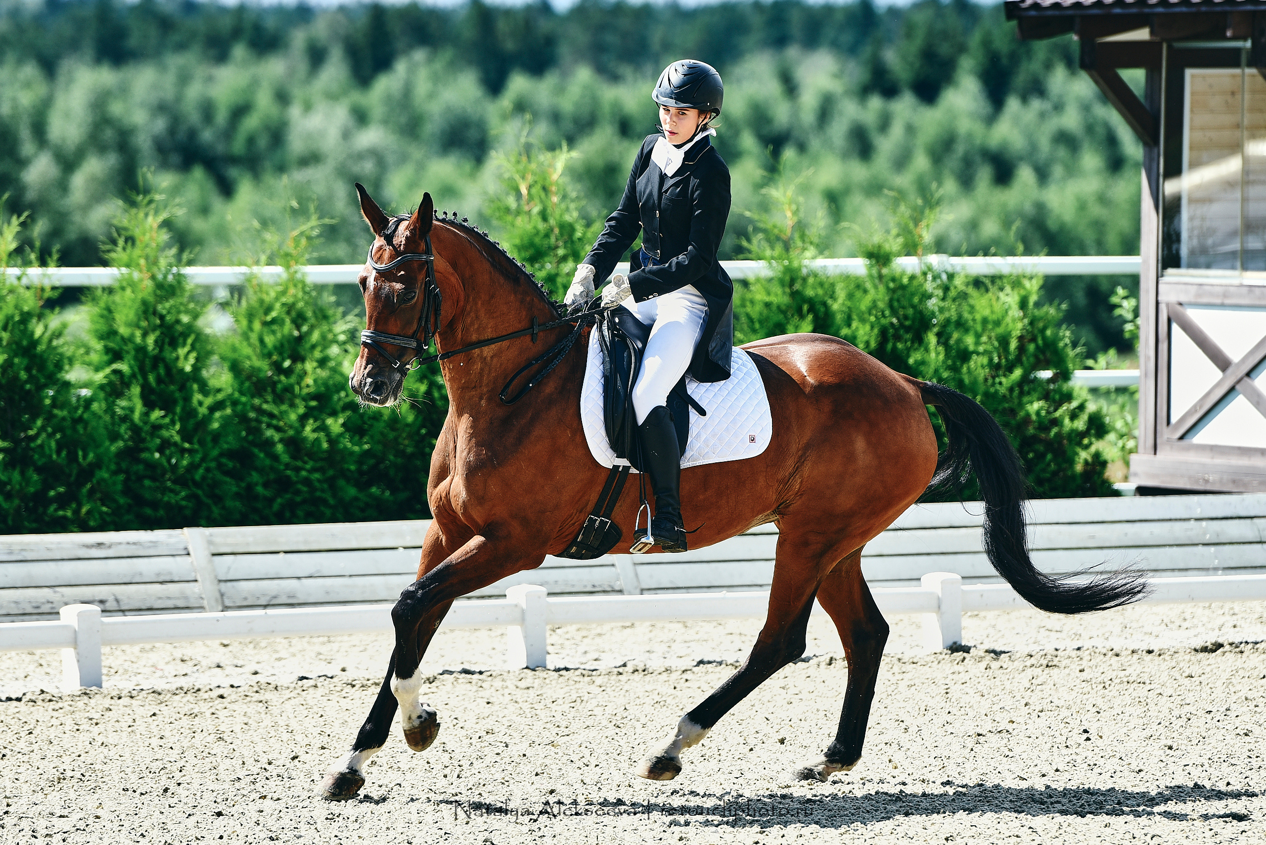 Открытая тренировка по двоеборью, Maxima Stables | 07'2020. Репортажный фотограф и ретушер в Москве Наталья Алексеева