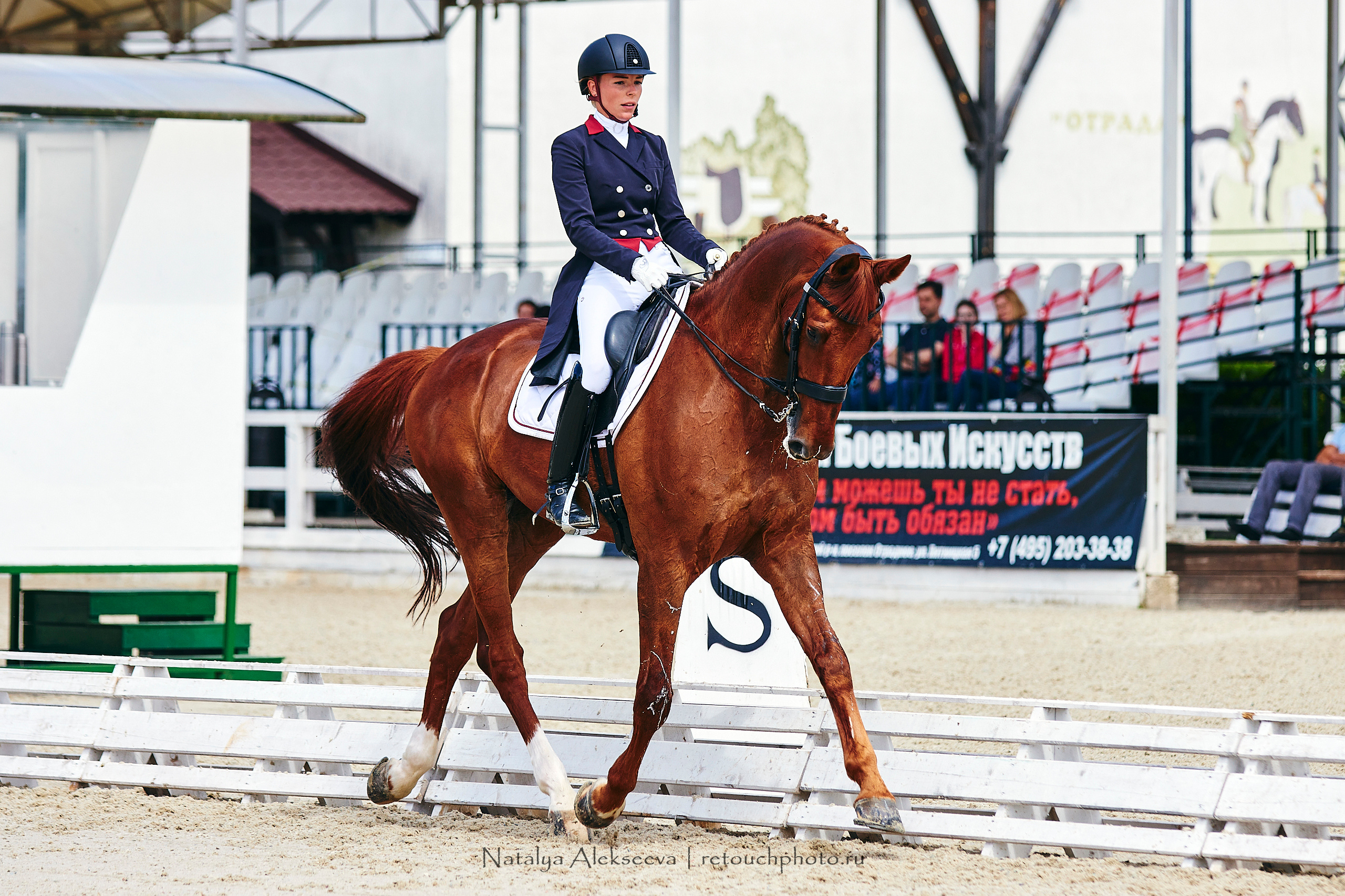 Кубок Красногорского района по выездке, КСК Отрада | 07'2020. Репортажный фотограф и ретушер в Москве Наталья Алексеева