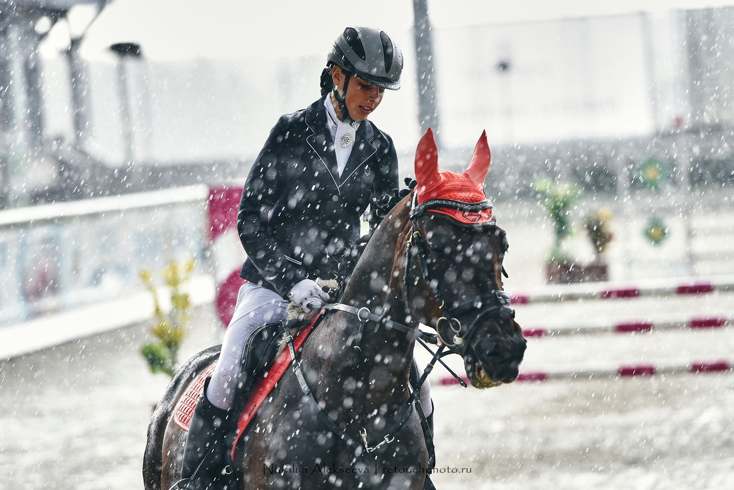 Открытая тренировка по двоеборью, Maxima Stables | 07'2020. Репортажный фотограф и ретушер в Москве Наталья Алексеева