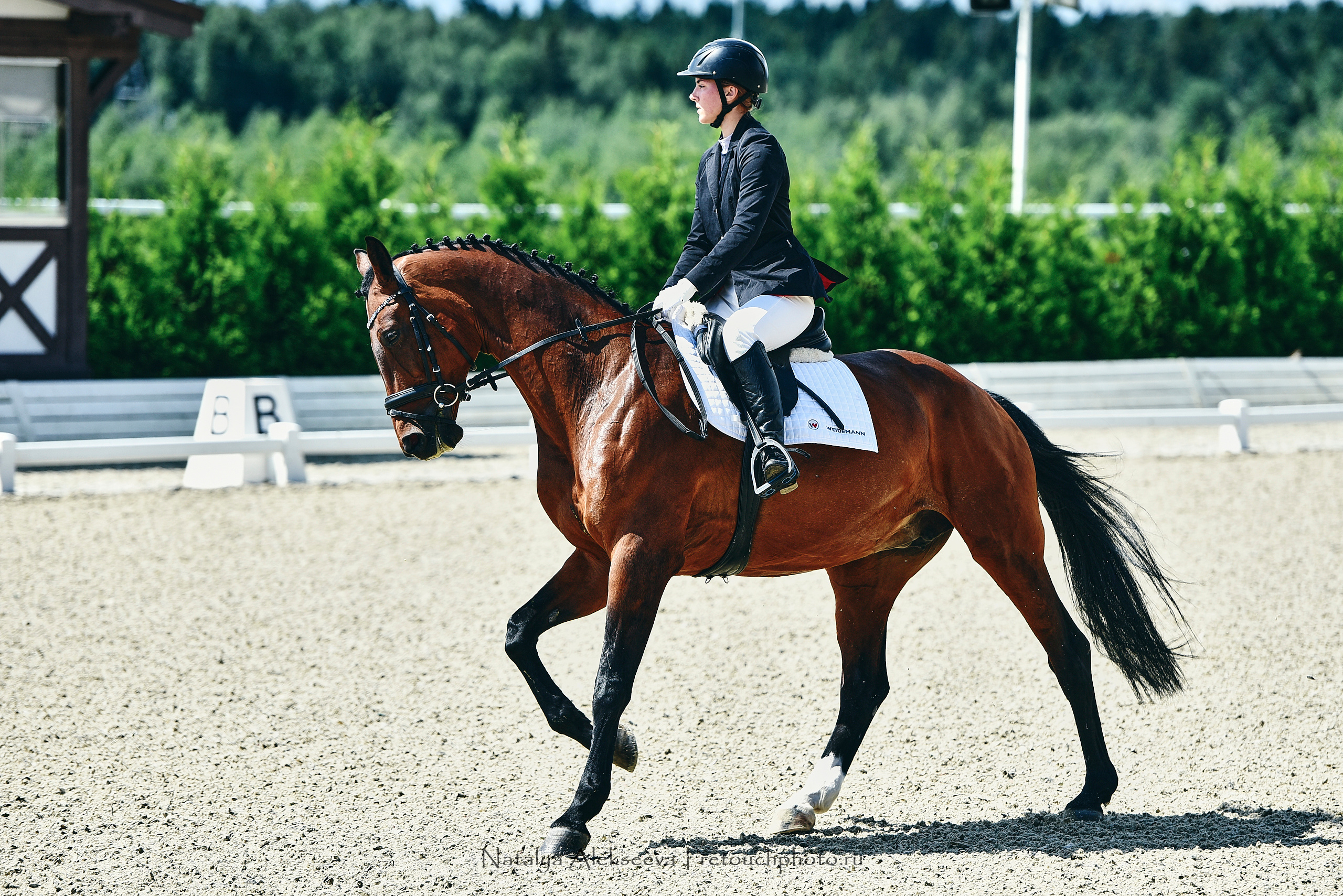 Открытая тренировка по двоеборью, Maxima Stables | 07'2020. Репортажный фотограф и ретушер в Москве Наталья Алексеева