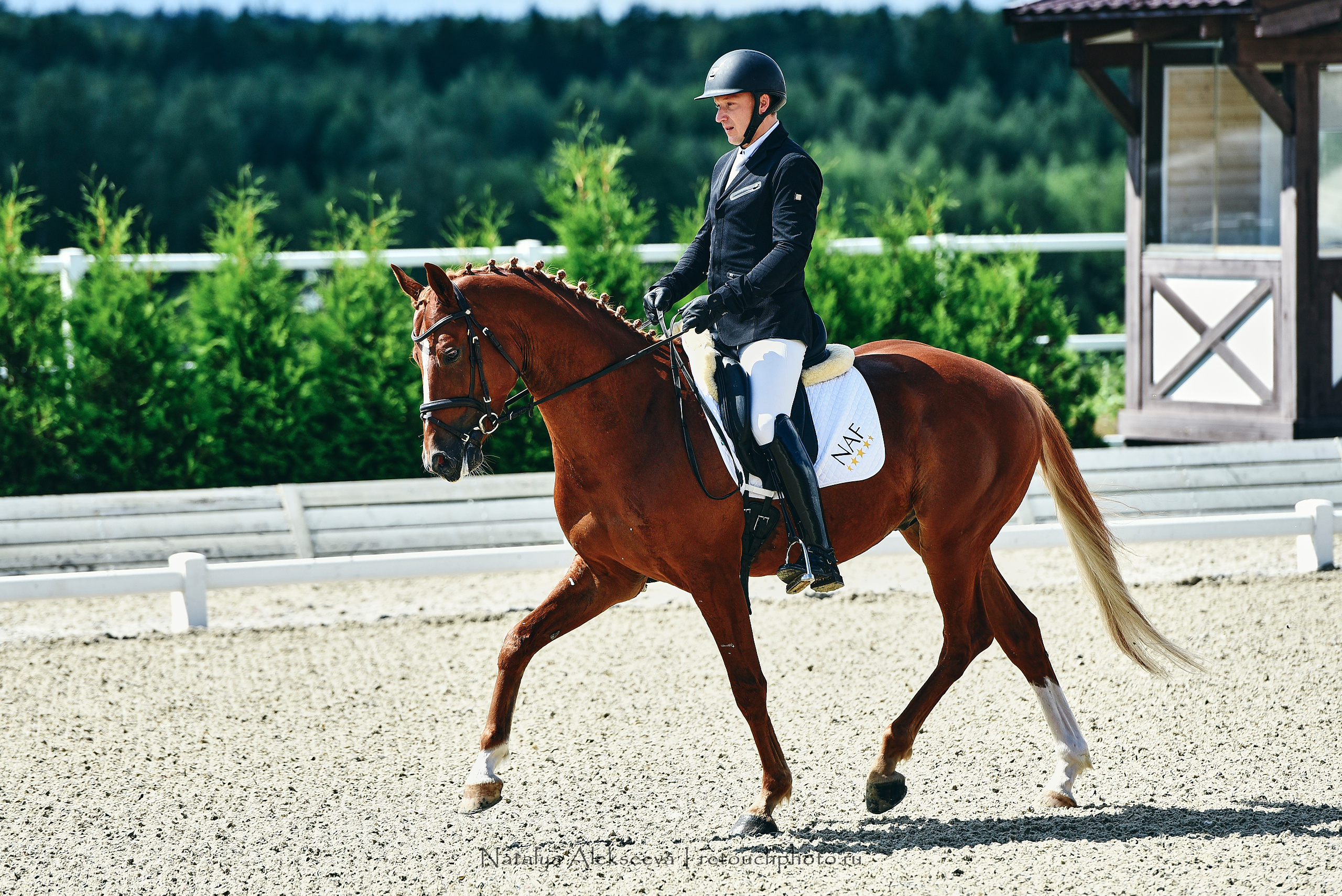 Открытая тренировка по двоеборью, Maxima Stables | 07'2020. Репортажный фотограф и ретушер в Москве Наталья Алексеева