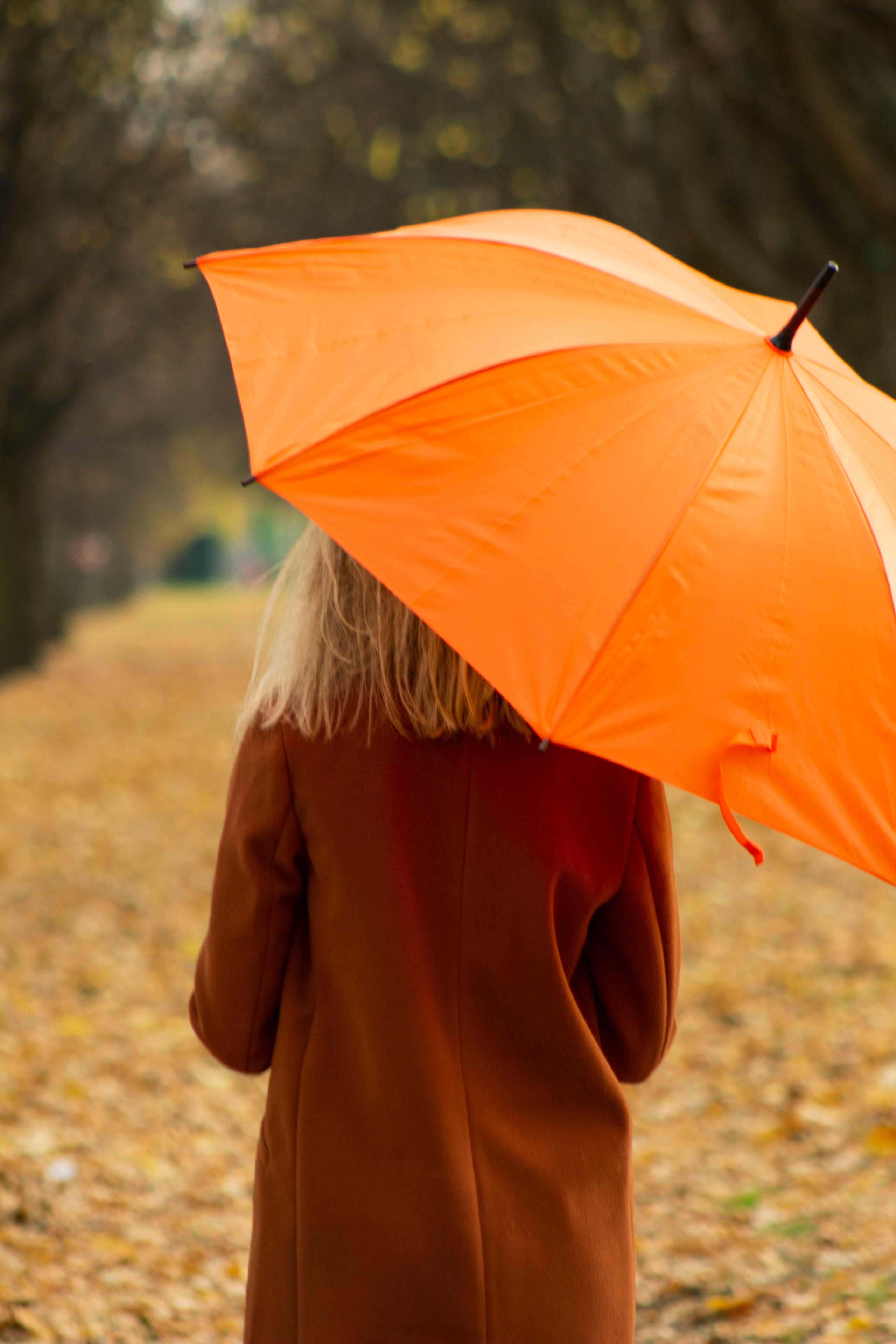 Оранжевый Хит Сезона. Md: Анастасия. Фотограф в Санкт-Петербурге Малов Владимир