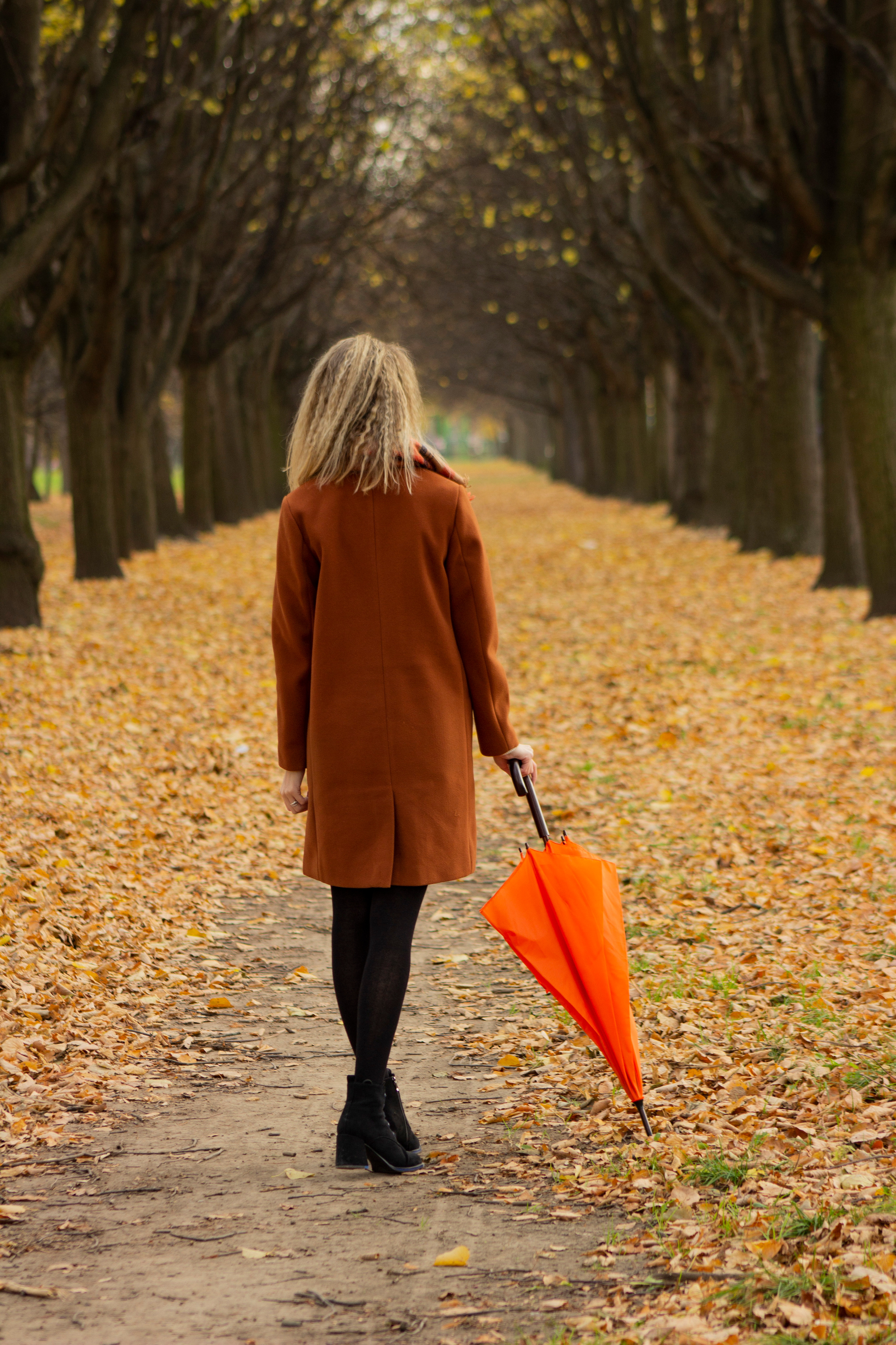 Оранжевый Хит Сезона. Md: Анастасия. Фотограф в Санкт-Петербурге Малов Владимир