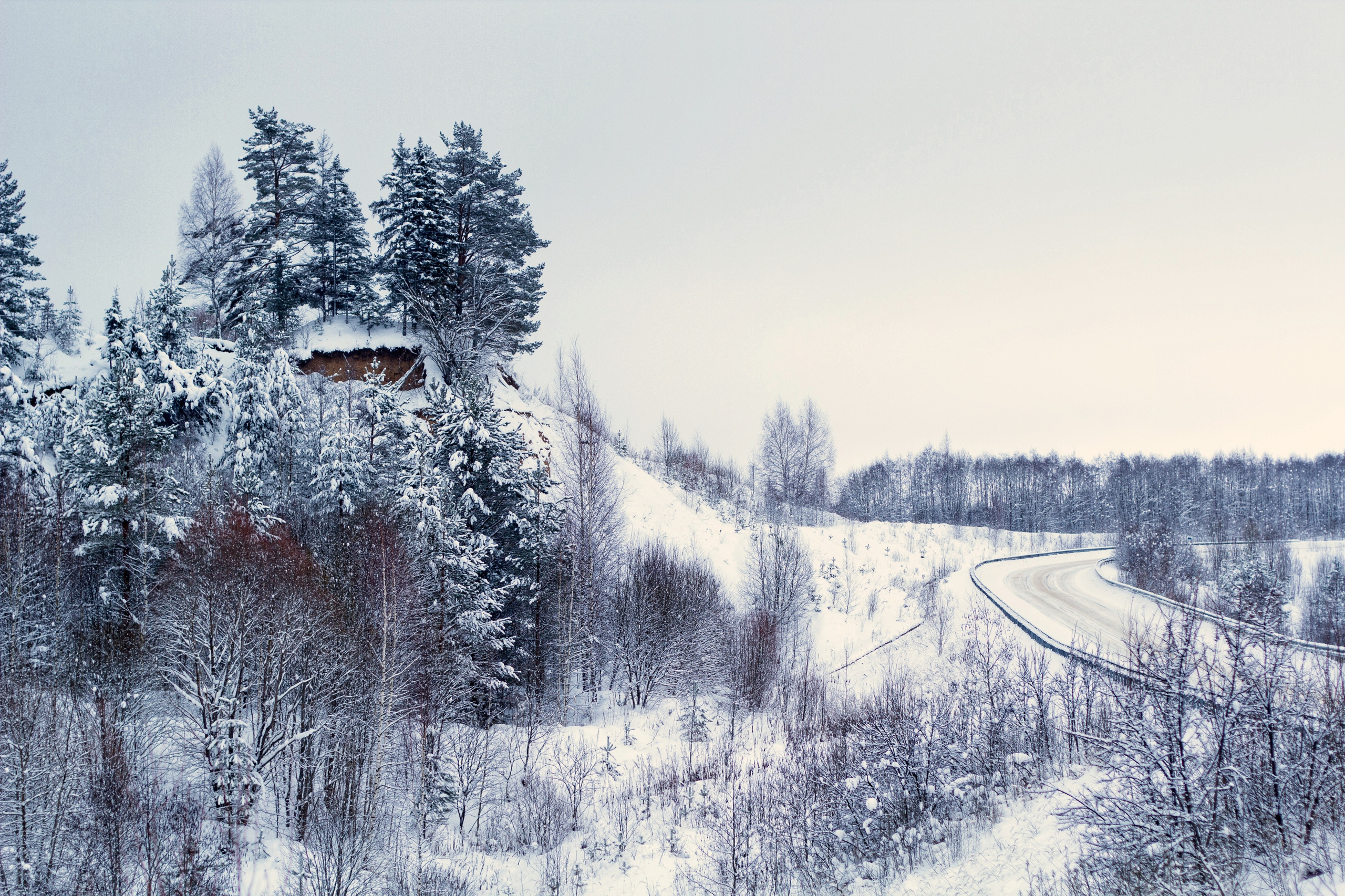 Дипломы и выставки. Карточки для маркетплейсов