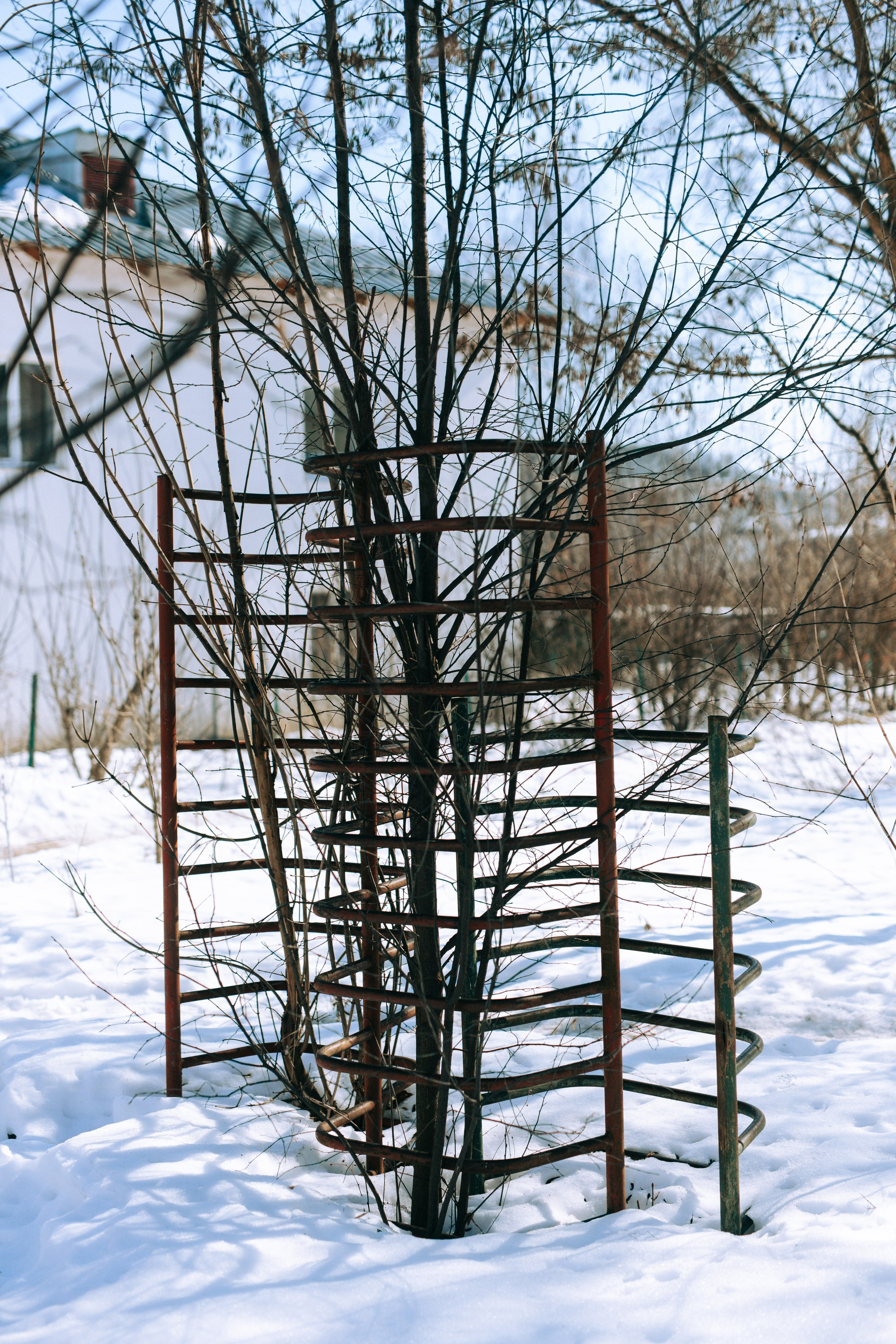 Ефремов. Свадебный и портретный фотограф — Мария Костина