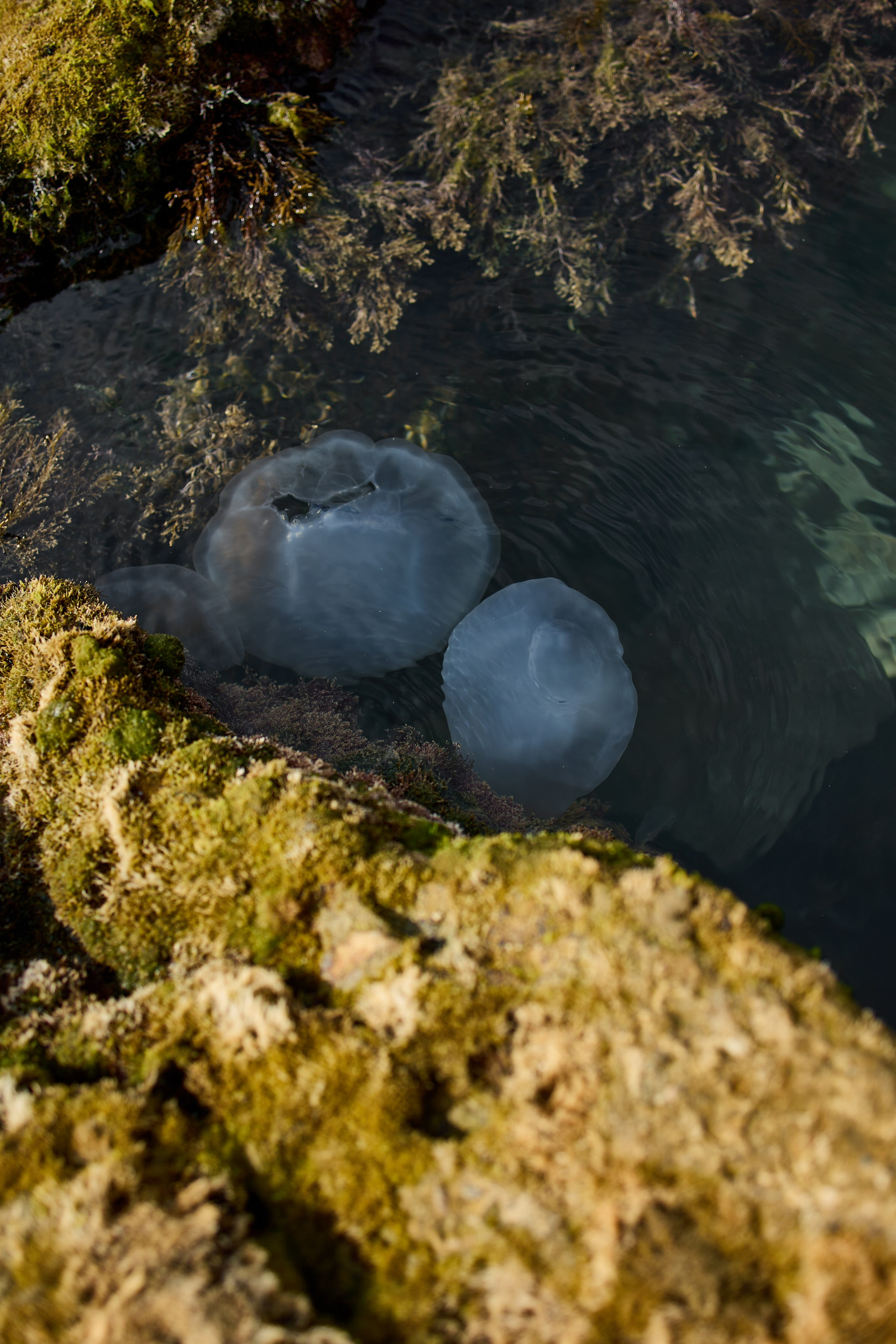 Крым. Хороший репортажный и промышленный фотограф в Казани Алексей Щелконогов
