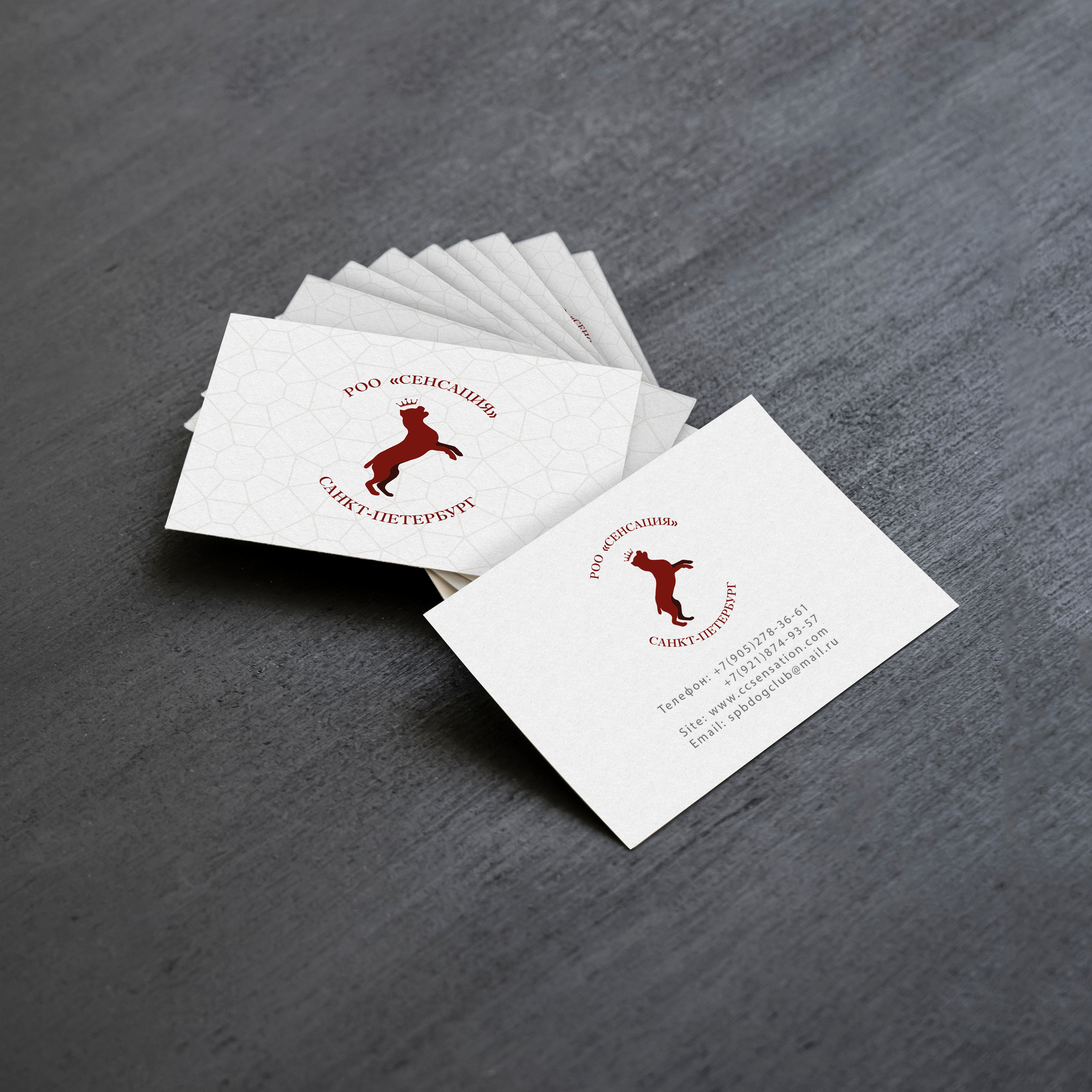 Создание логотипа для кинологического клуба «РОО СЕНСАЦИЯ» (РКФ, РФСС) в Санкт-Петербурге