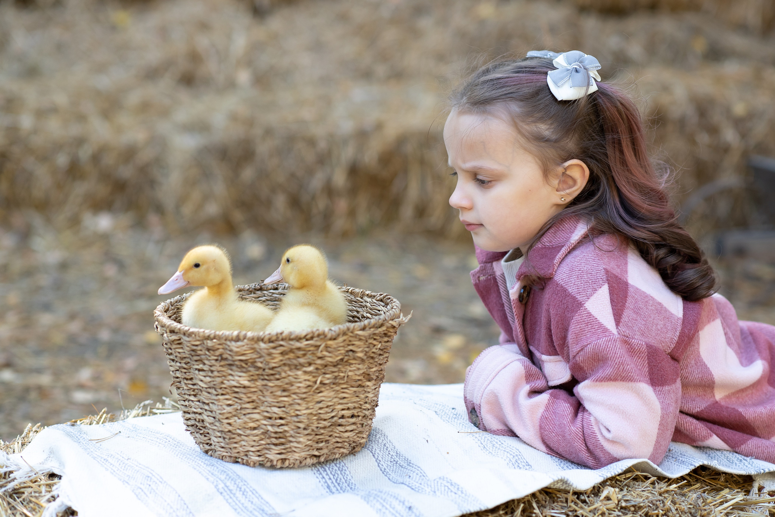 Фотостудия Лес Чудес. Фотограф Мария Усманова, Казань