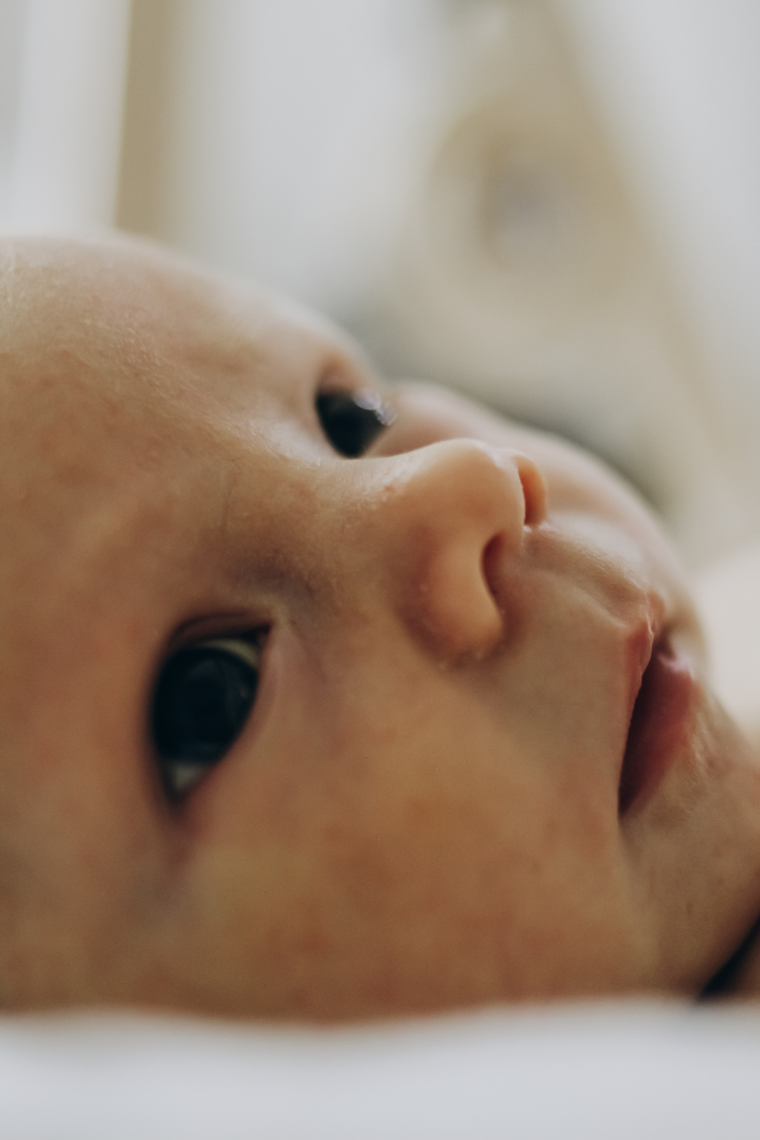 Домашняя 23.08.2025. Свой фотограф Нижний Новгород